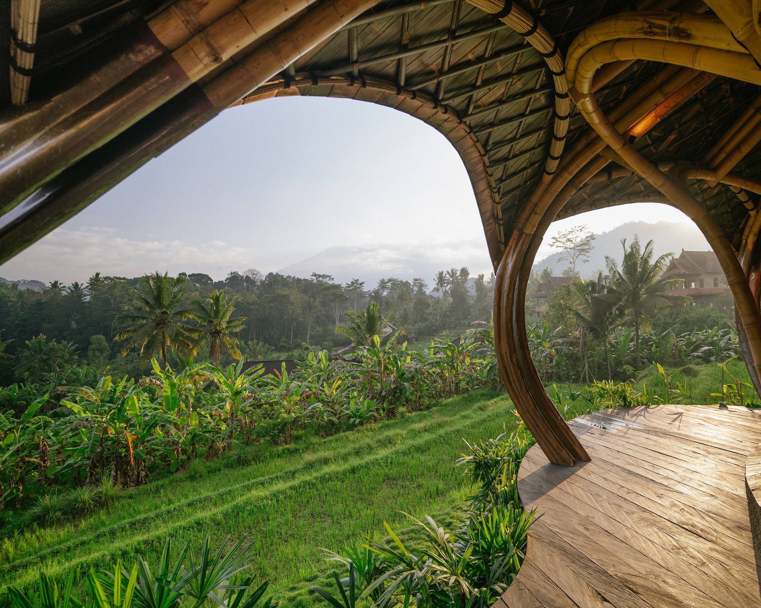 Veluvana Bali - Octopus House — photo 5