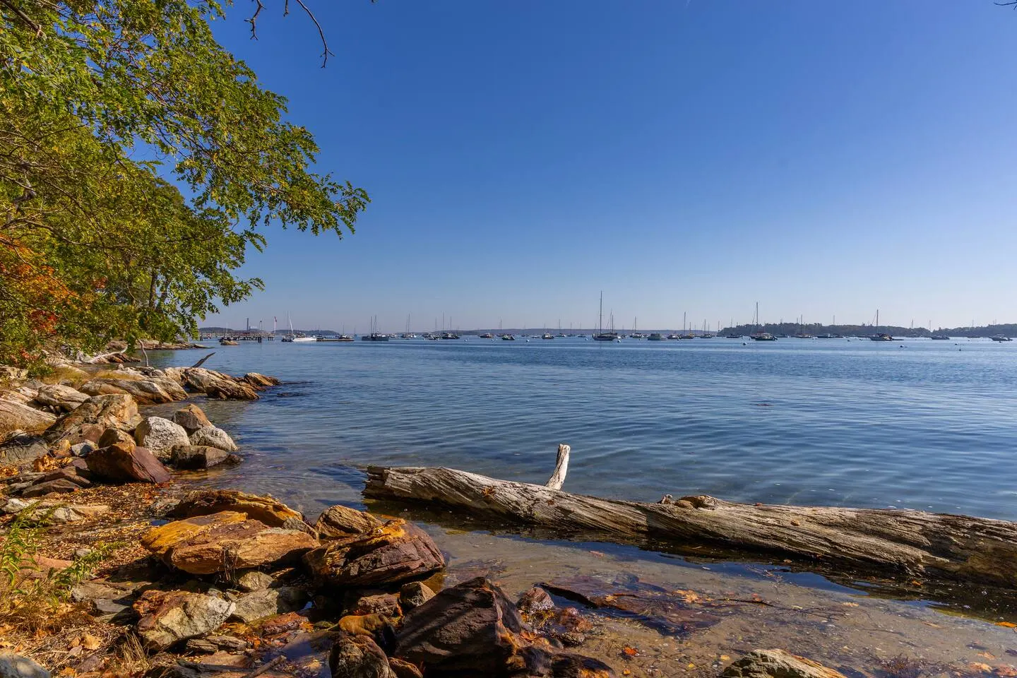 Casco Bay Classic 10MinsToPortland OceanAccess 8