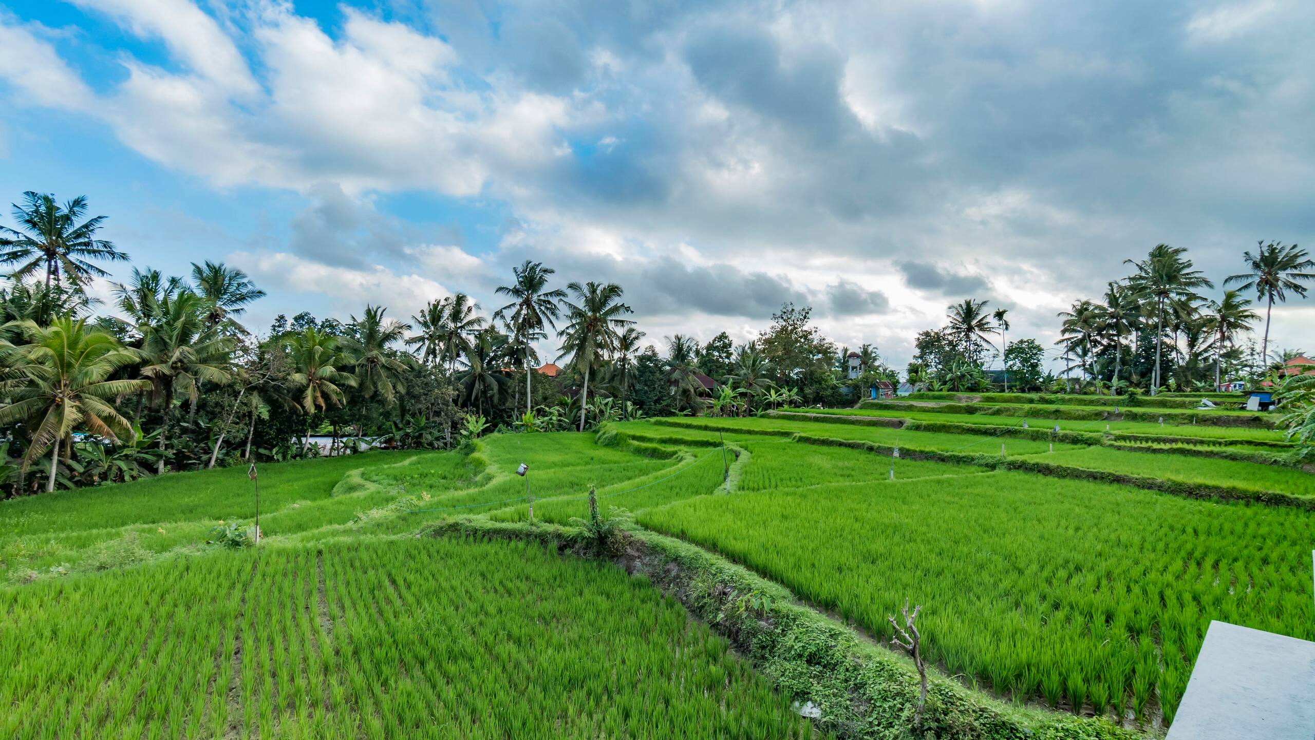 As I Am Ubud Retreat the Villa 22