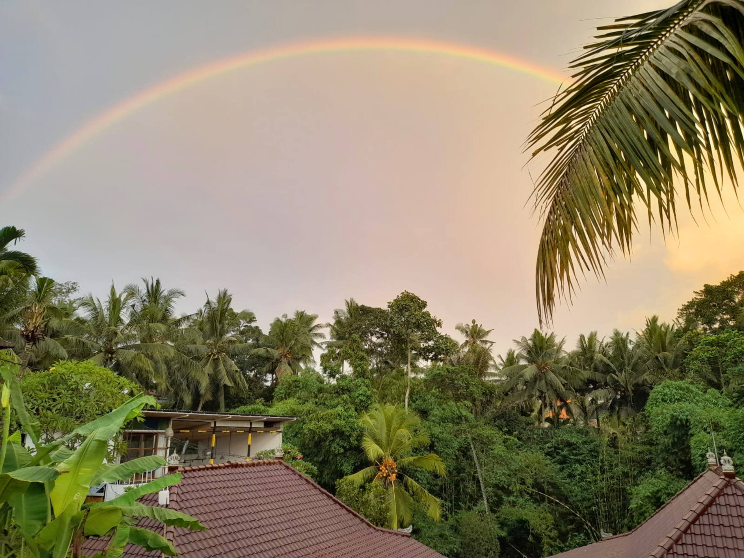 As I Am Ubud Retreat the Villa 40