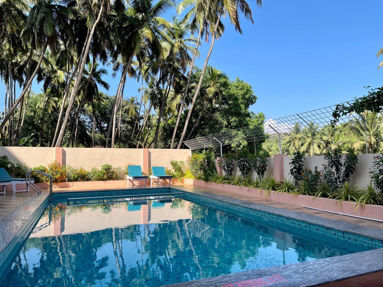 Palm paradise, Candolim 4