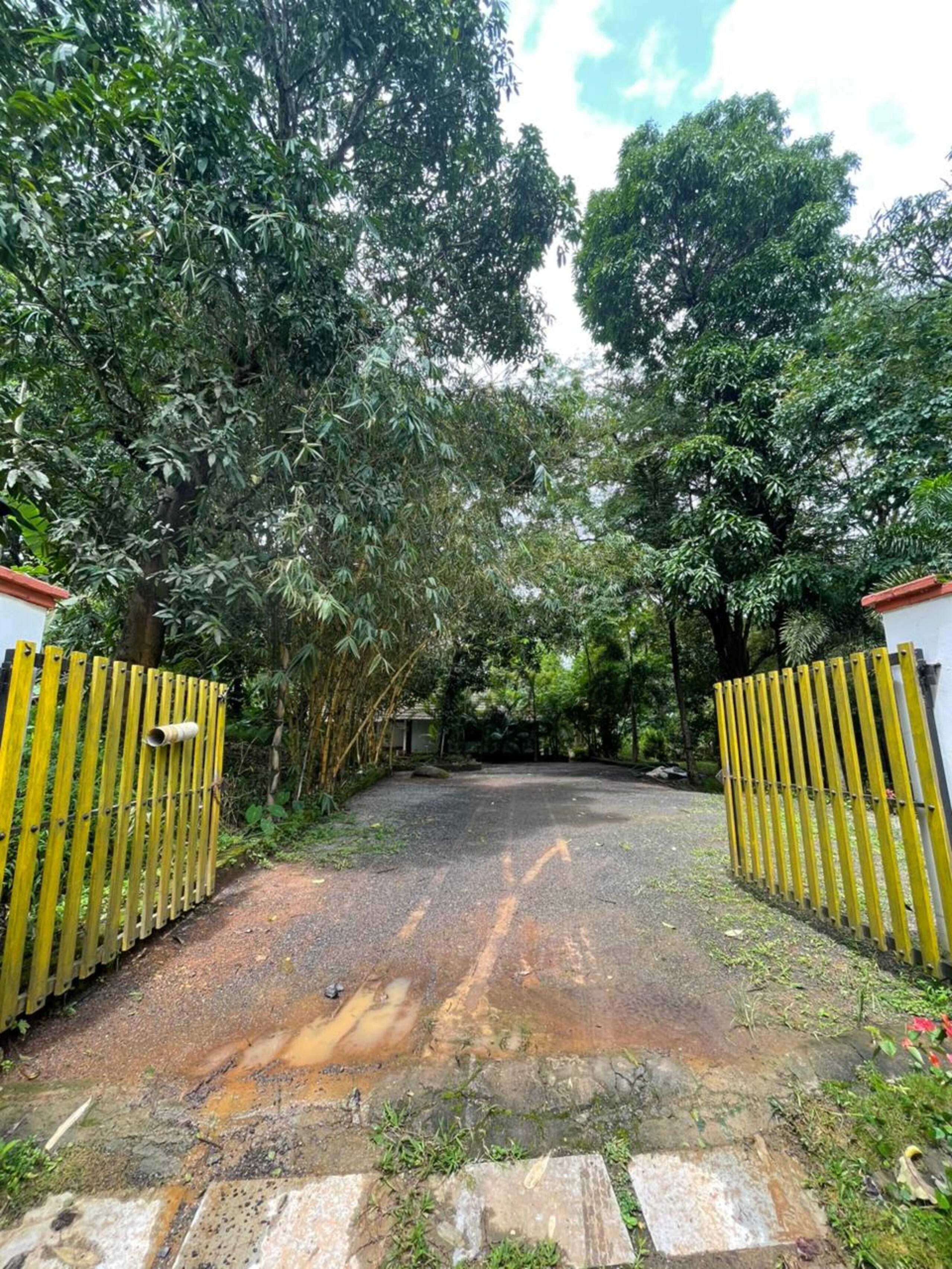 PWV (Palkadavu Warium Villa Homestay) - Wayanad 1