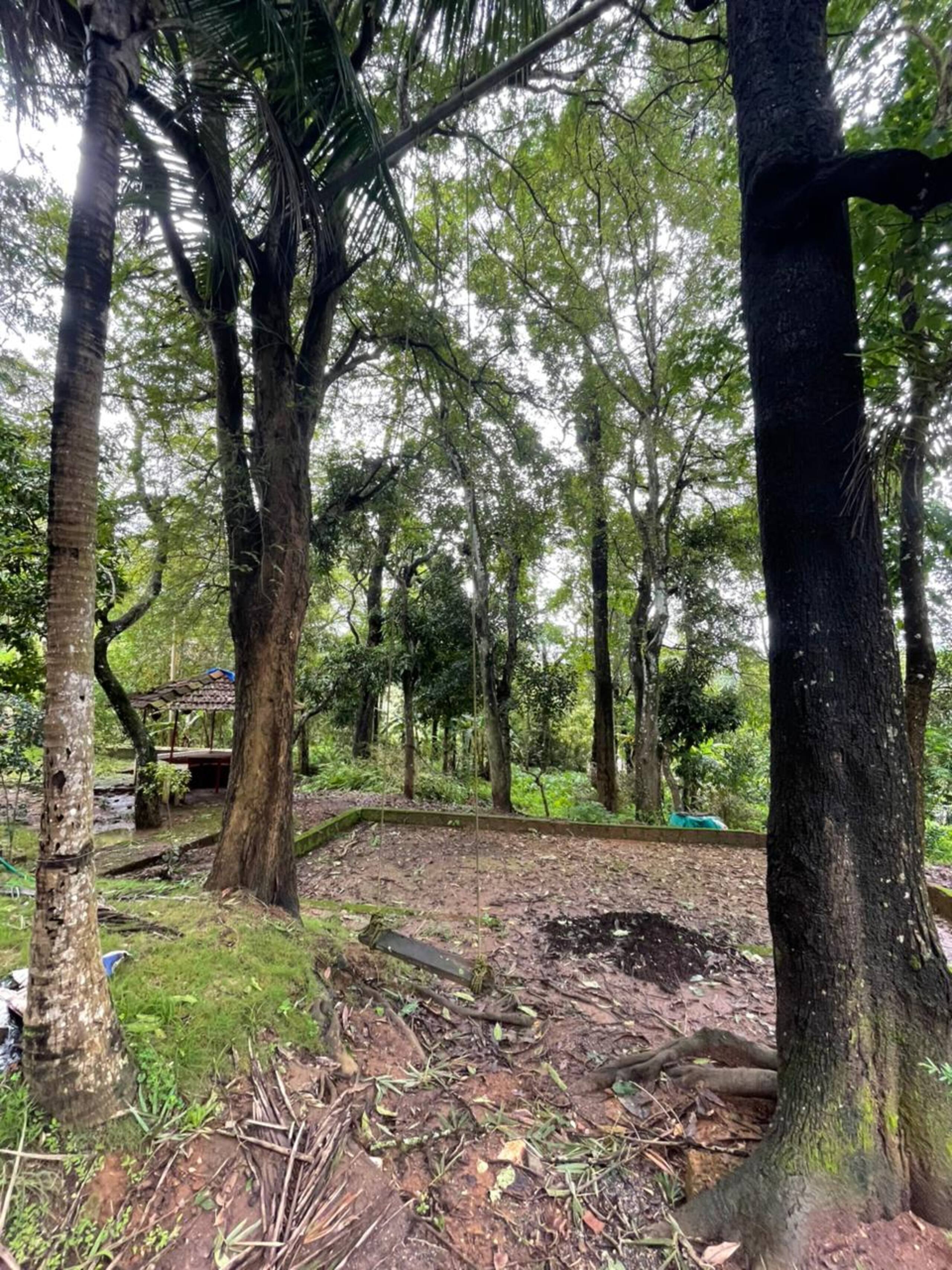 PWV (Palkadavu Warium Villa Homestay) - Wayanad 21