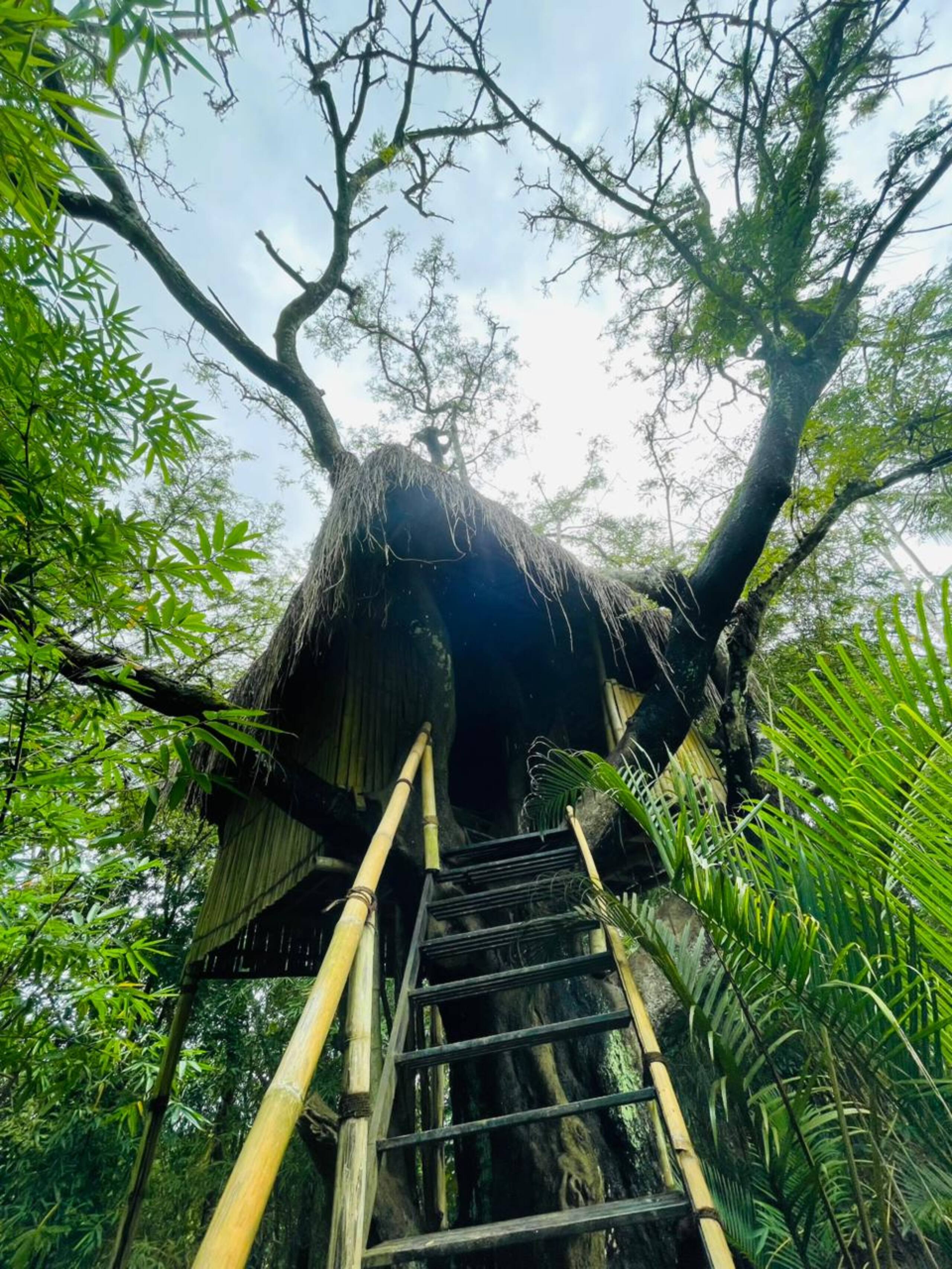 PWV (Palkadavu Warium Villa Homestay) - Wayanad 17