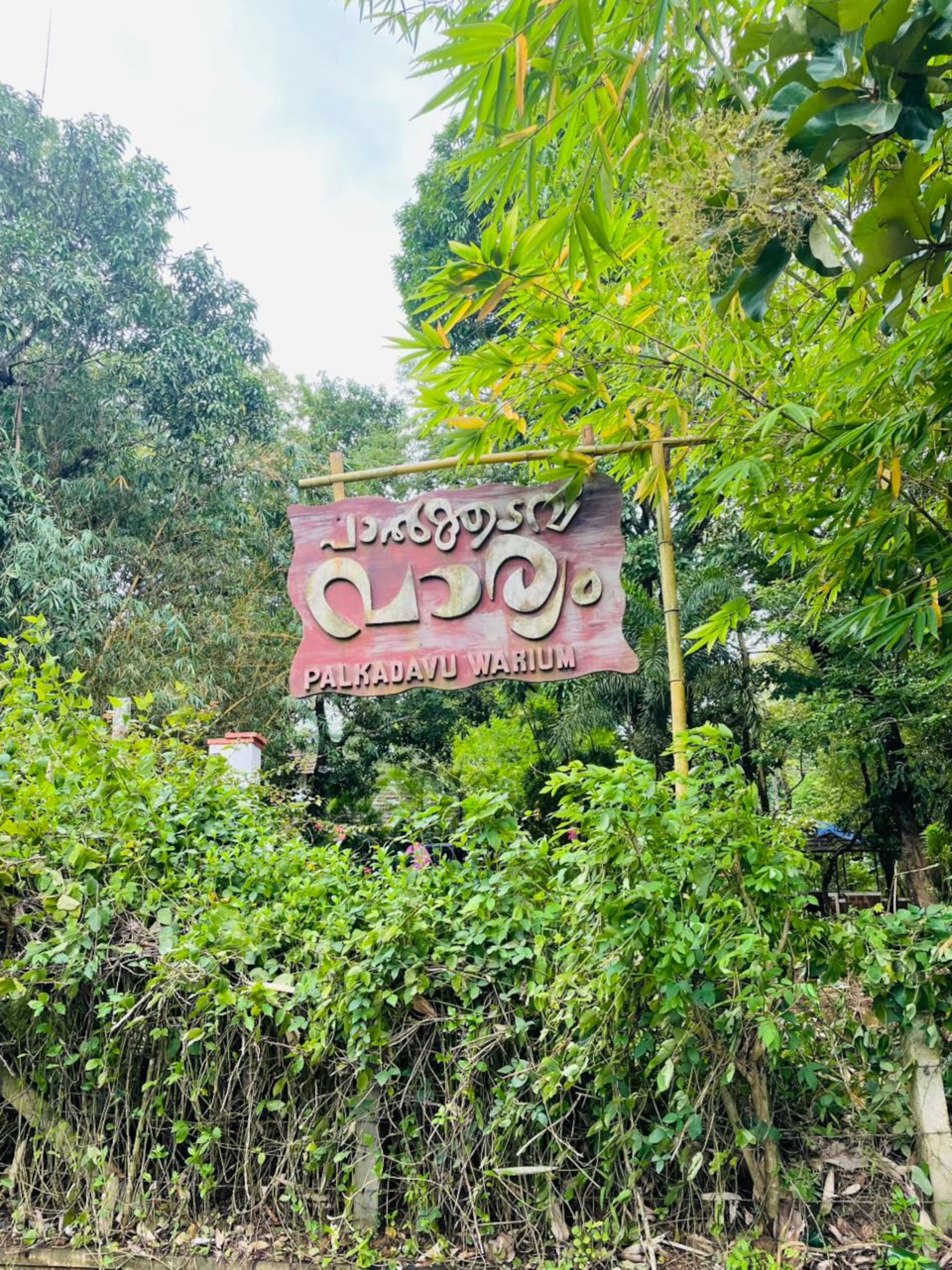 PWV (Palkadavu Warium Villa Homestay) - Wayanad 2