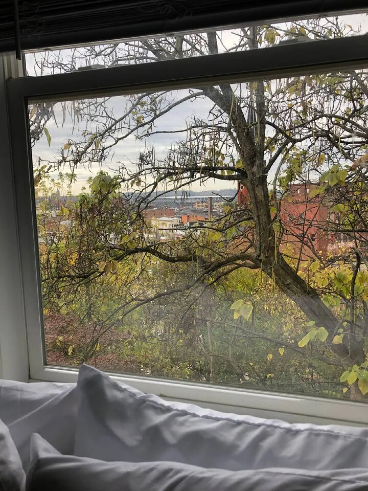 2 Apts w/ Terrace-OTR, Findlay Market, Rhinegeist 19