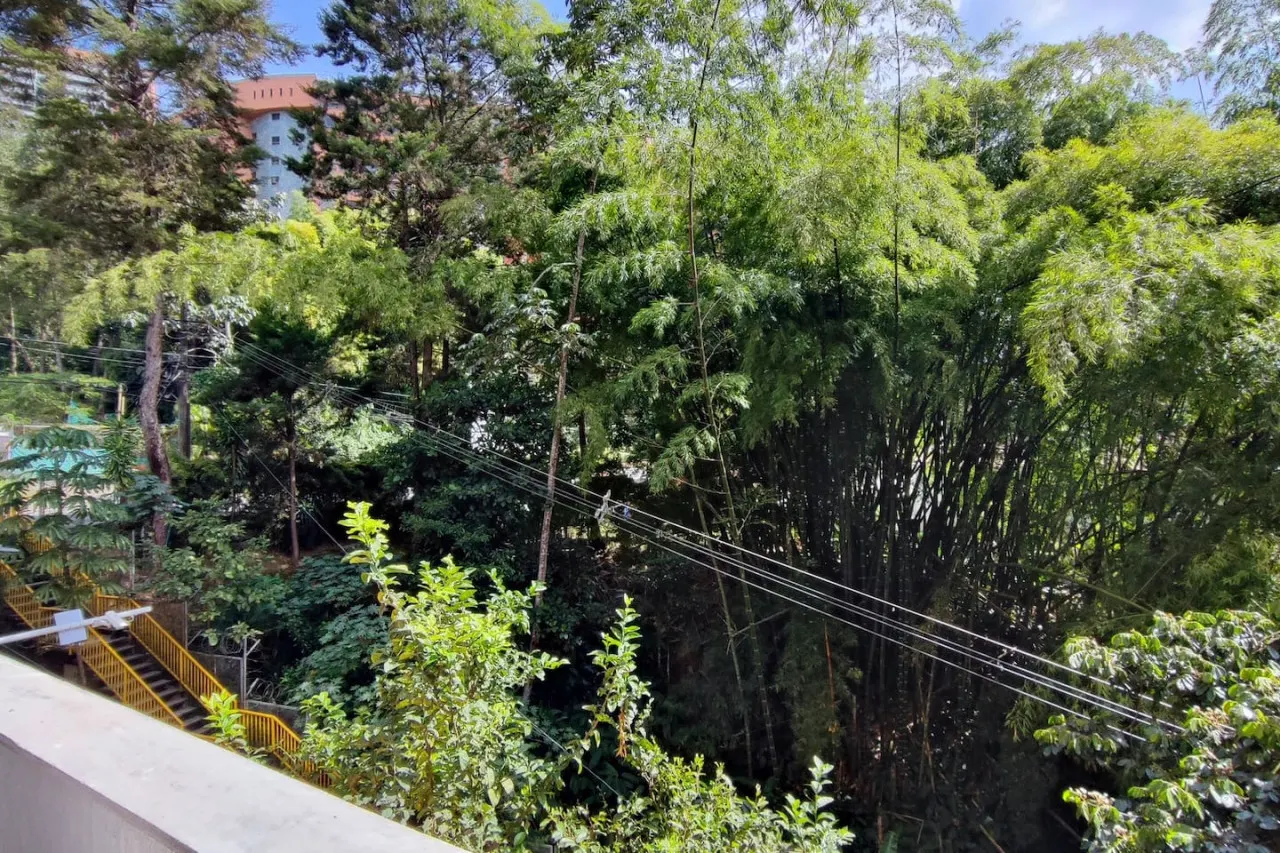 * Serene Heaven: 2Bed+2 Baths 2