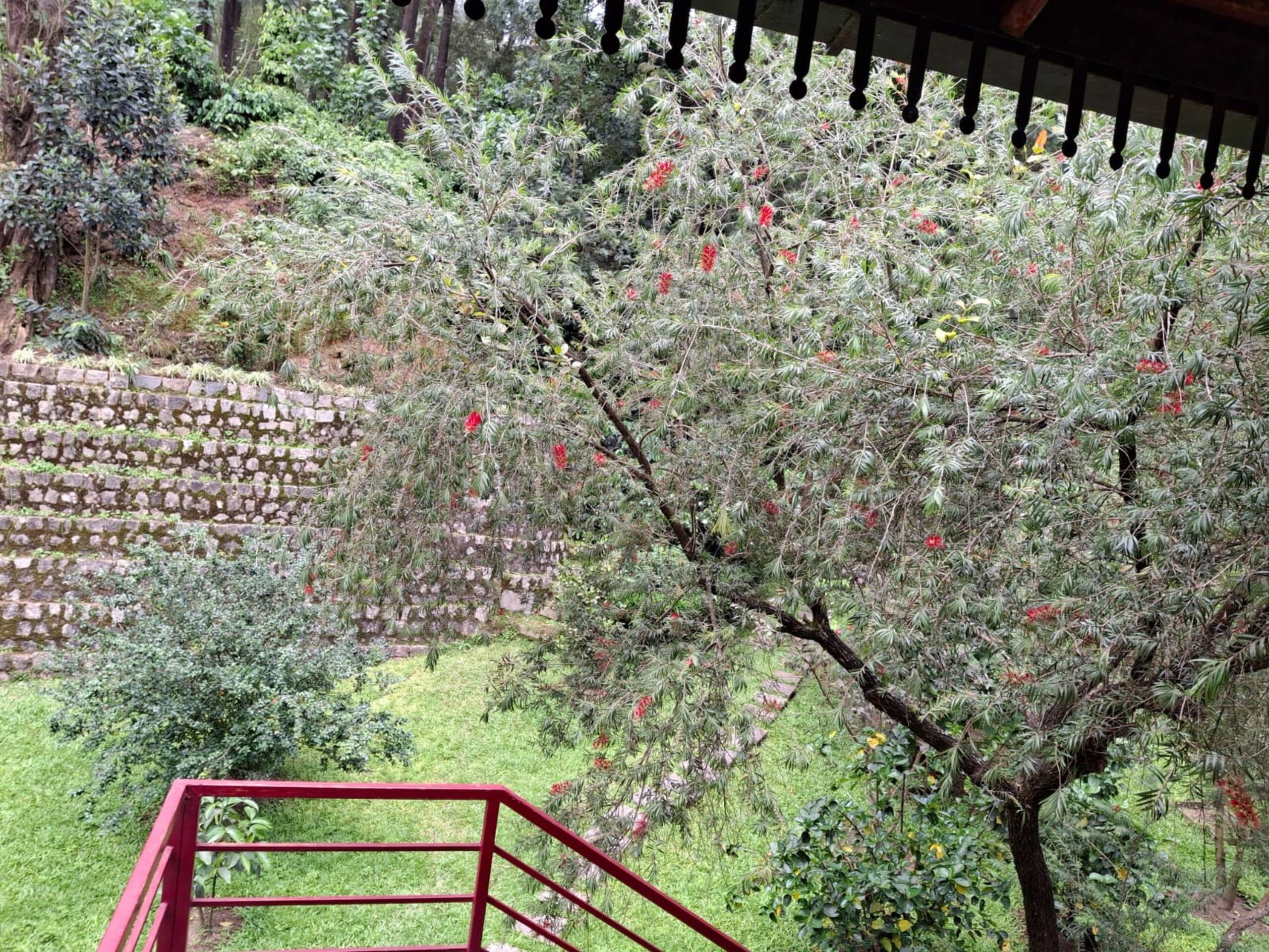 Bettadamalali Estate Homestay 23