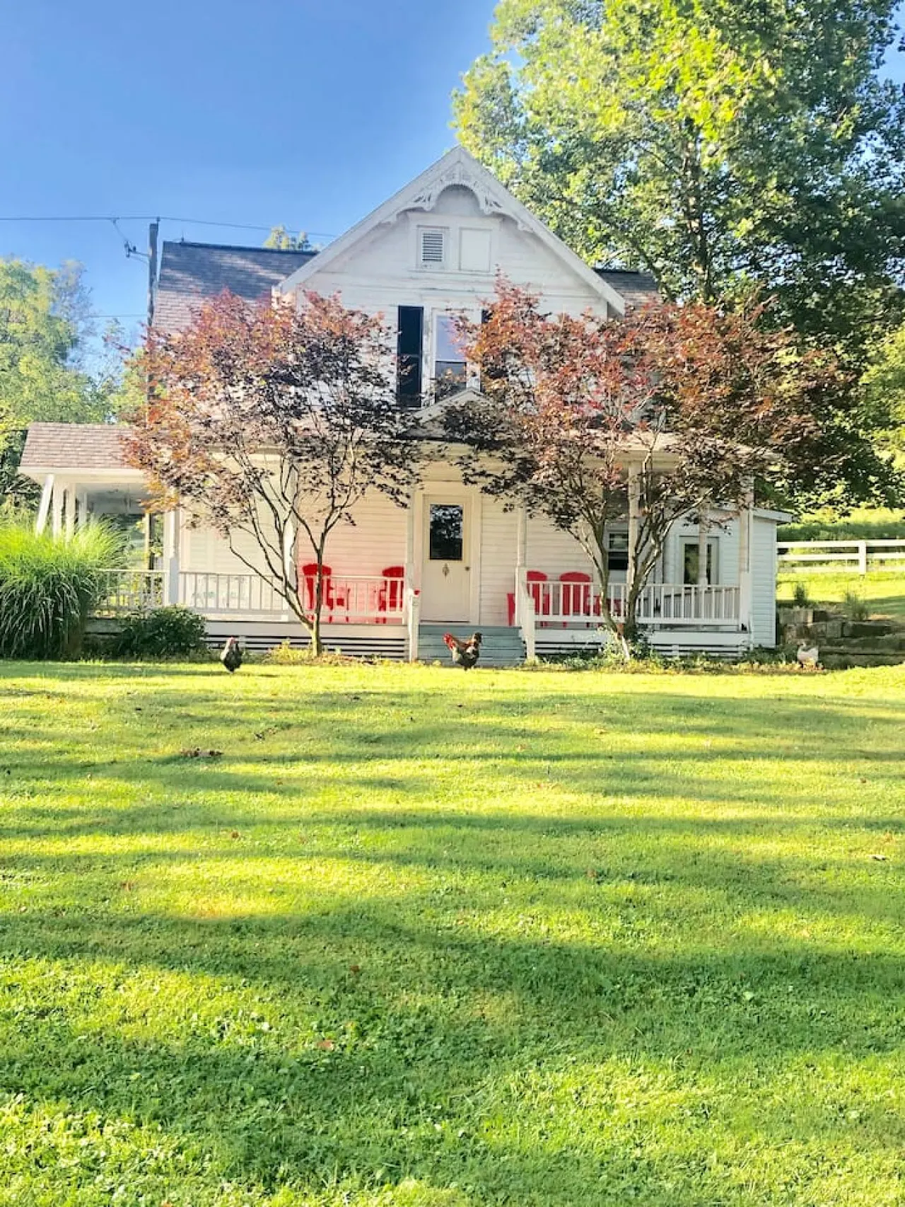 The Trio- Unique Country Setting — photo 3