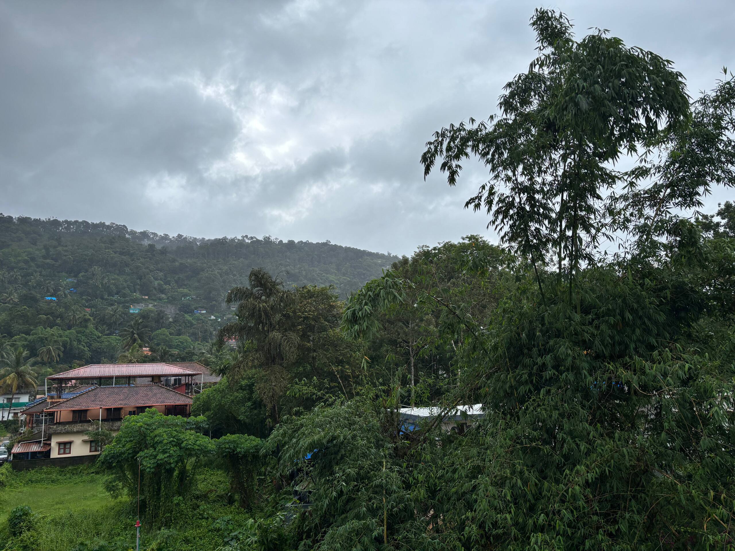 Sam's Nest - The nature's Cradle in Coorg 27