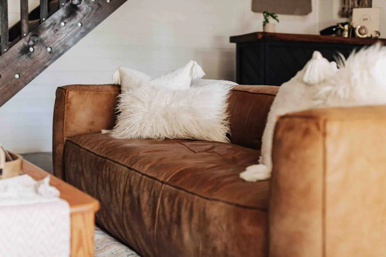 TOP RATED Boho Mountain Retreat: Pet-Friendly! 8