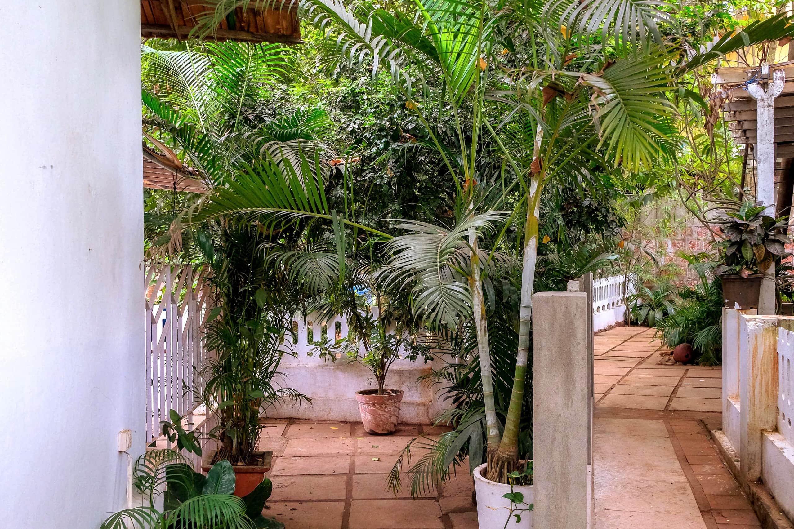 Hidden Garden Cottage in Calangute | Private 31