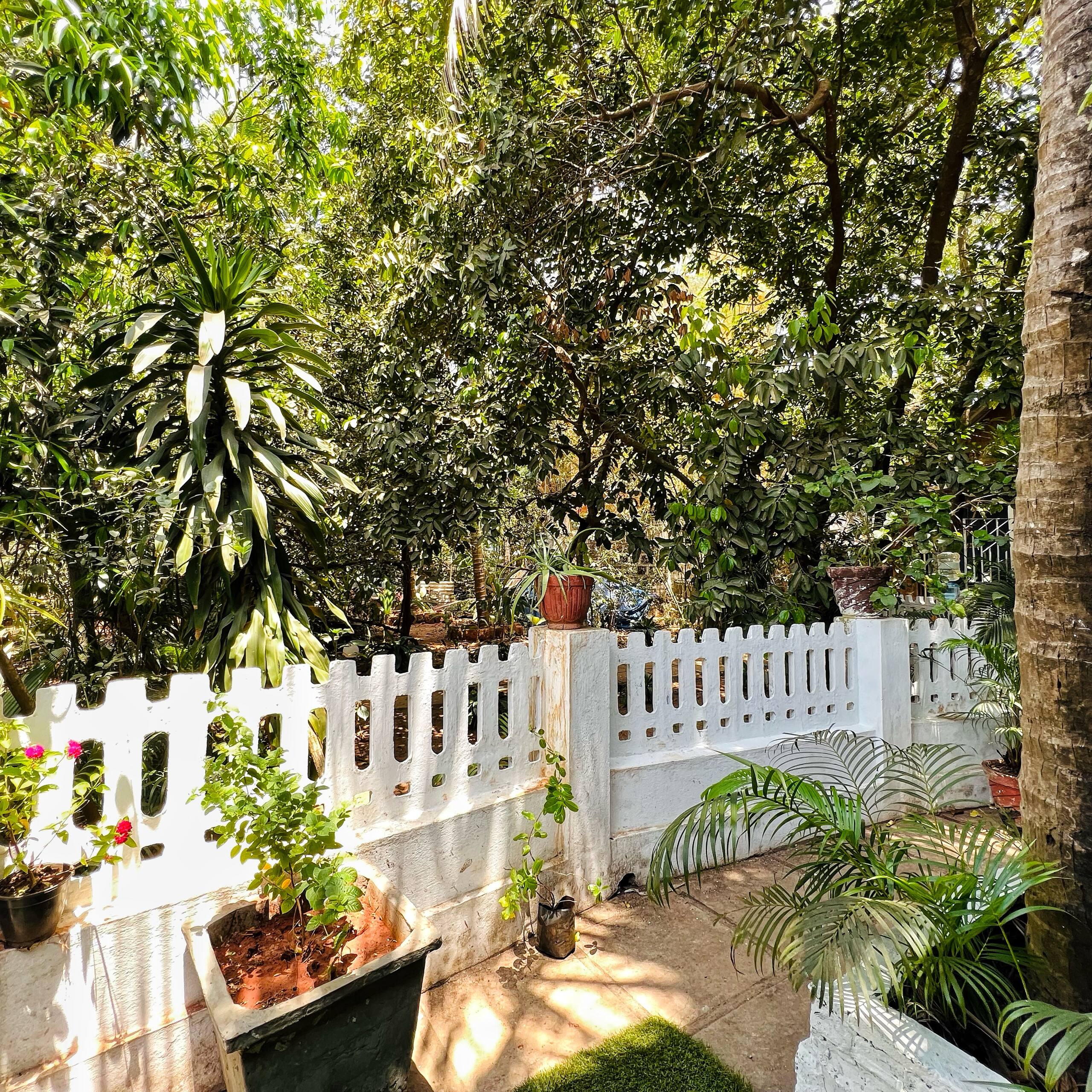 Hidden Garden Cottage in Calangute | Private 29