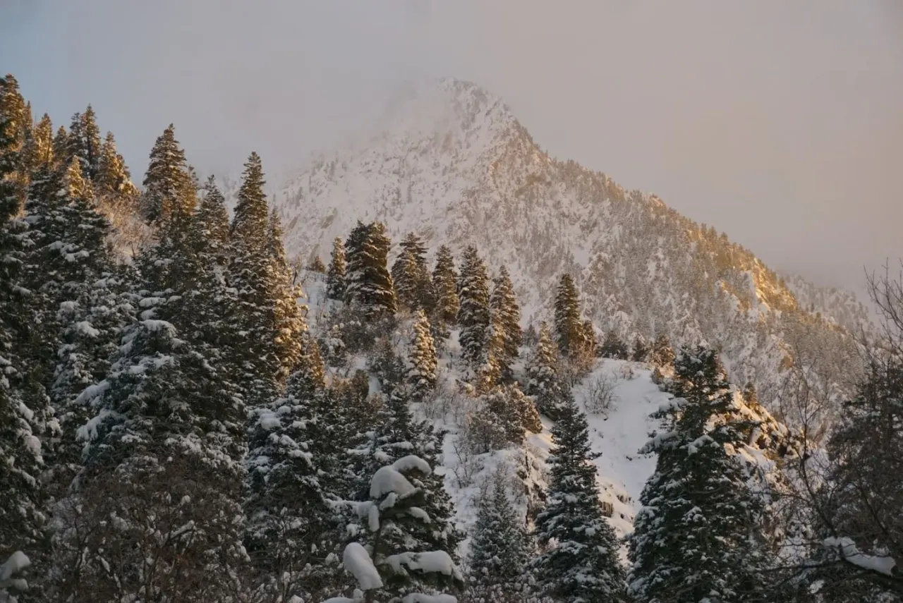 Mountain Apartment Located in BigCottonwood Canyon 19