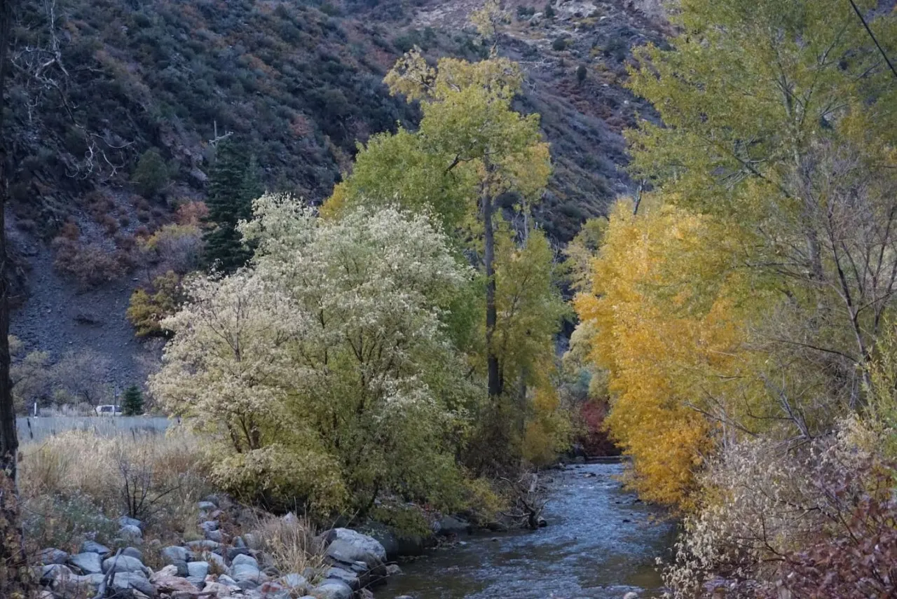 Mountain Apartment Located in BigCottonwood Canyon 20