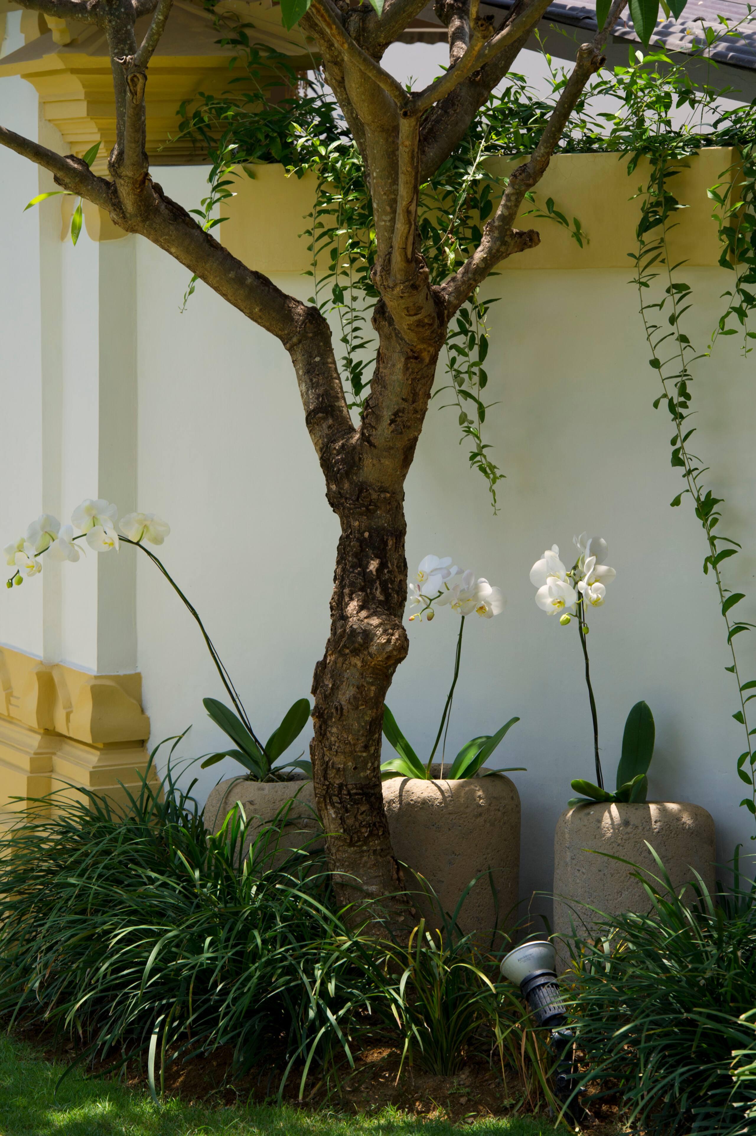 Sahana Villa (B) private butler & pool in Seminyak 25