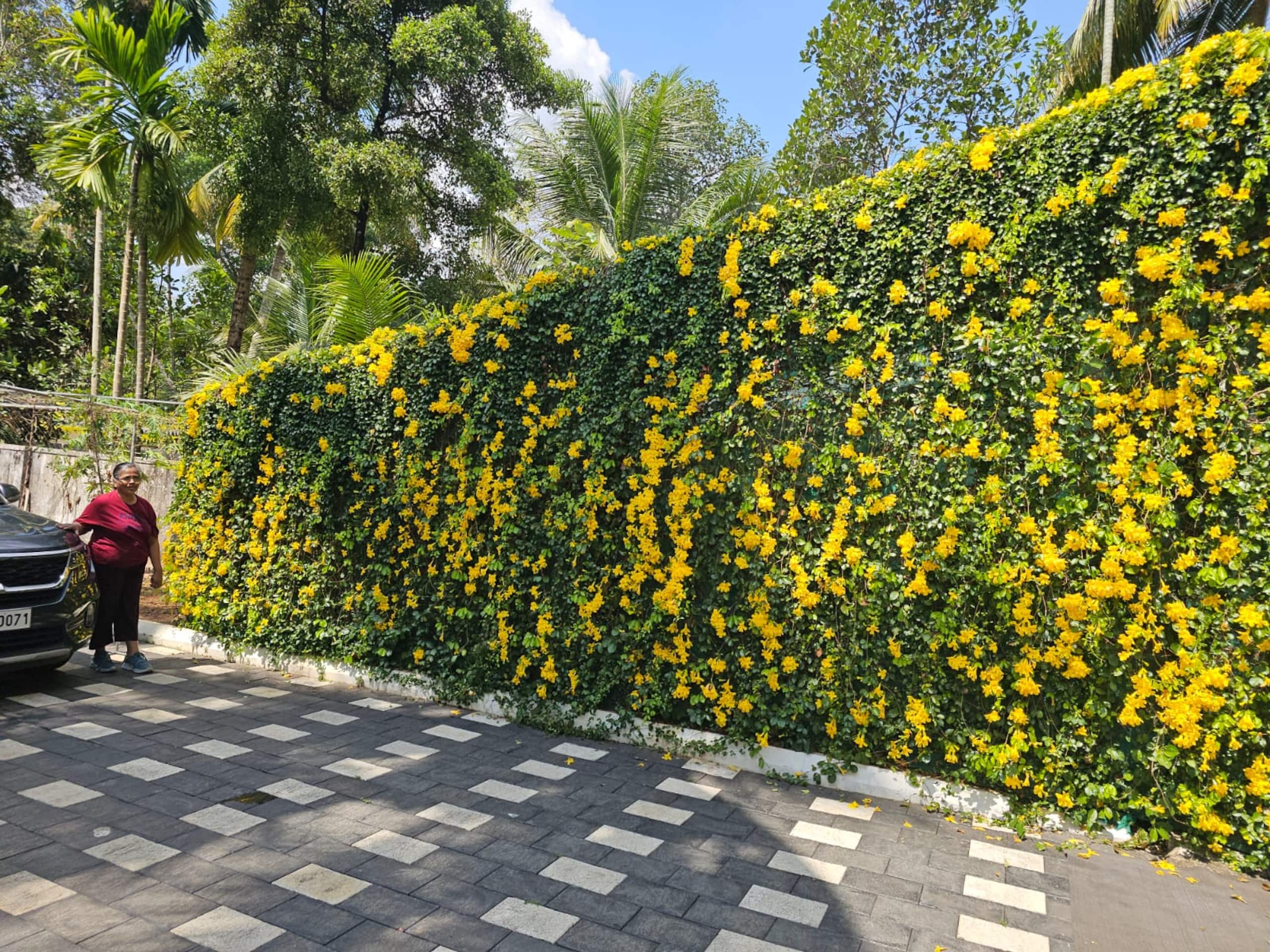 Choolakadavu Lake Resort -Full 19