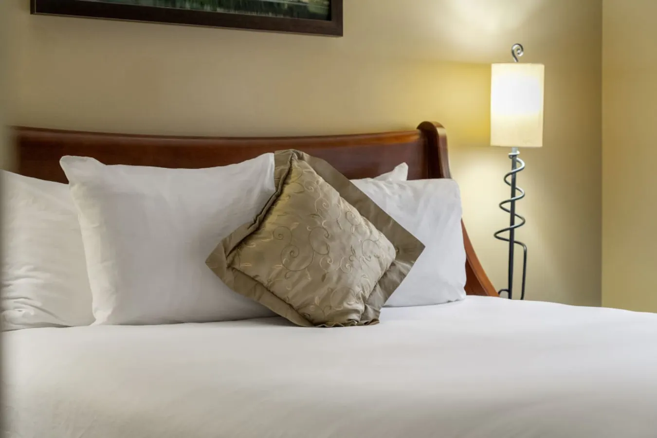 Solara Resort Suite: Hot Tub, BBQ & Park Pass 12