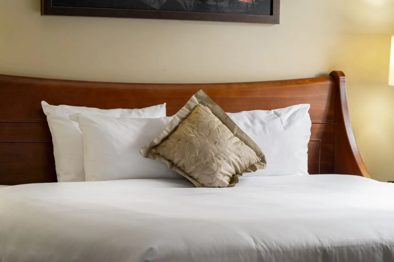 Solara Resort Suite: Hot Tub, BBQ & Park Pass 16
