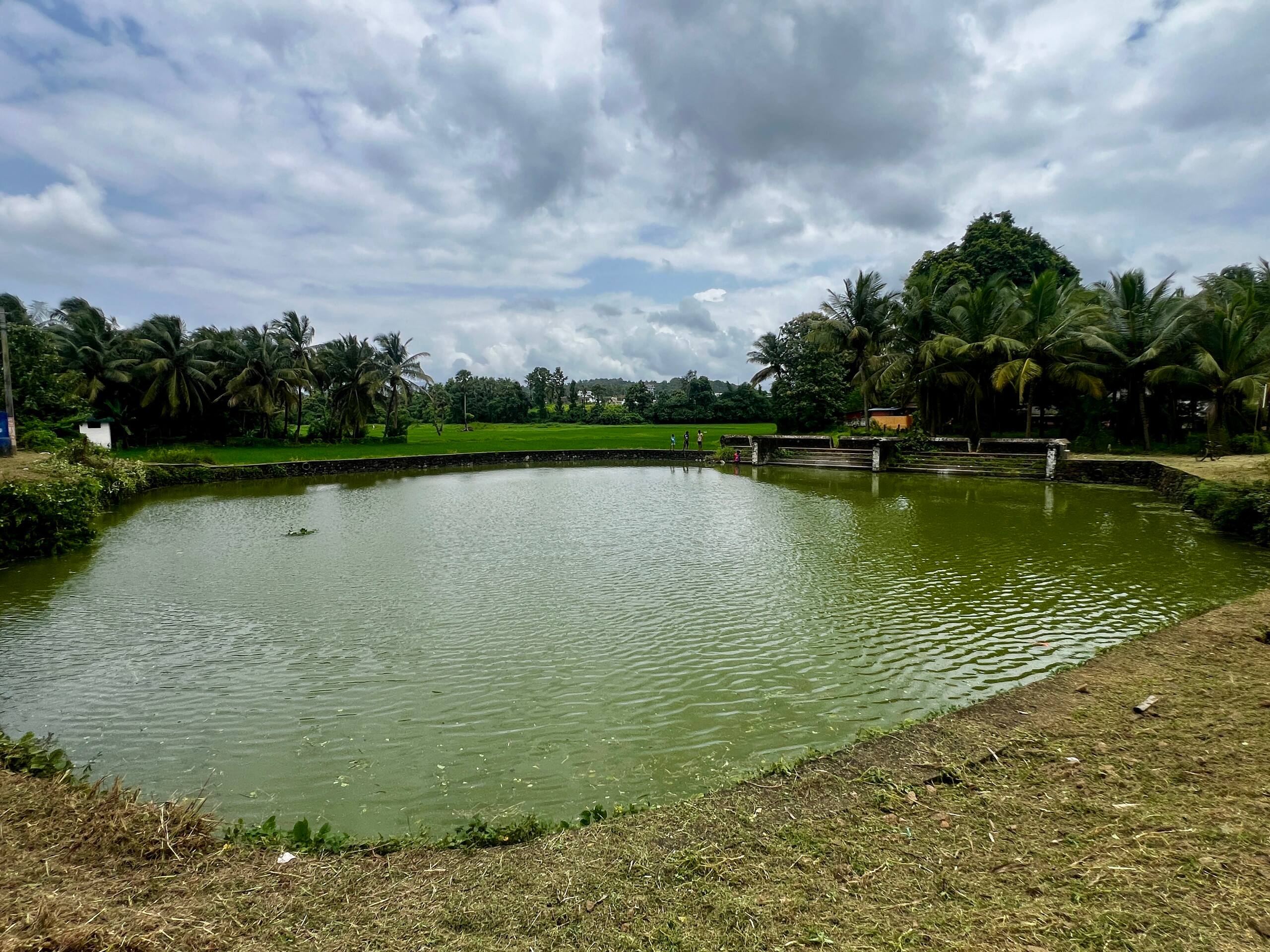 Haritham Heritage Villa 33