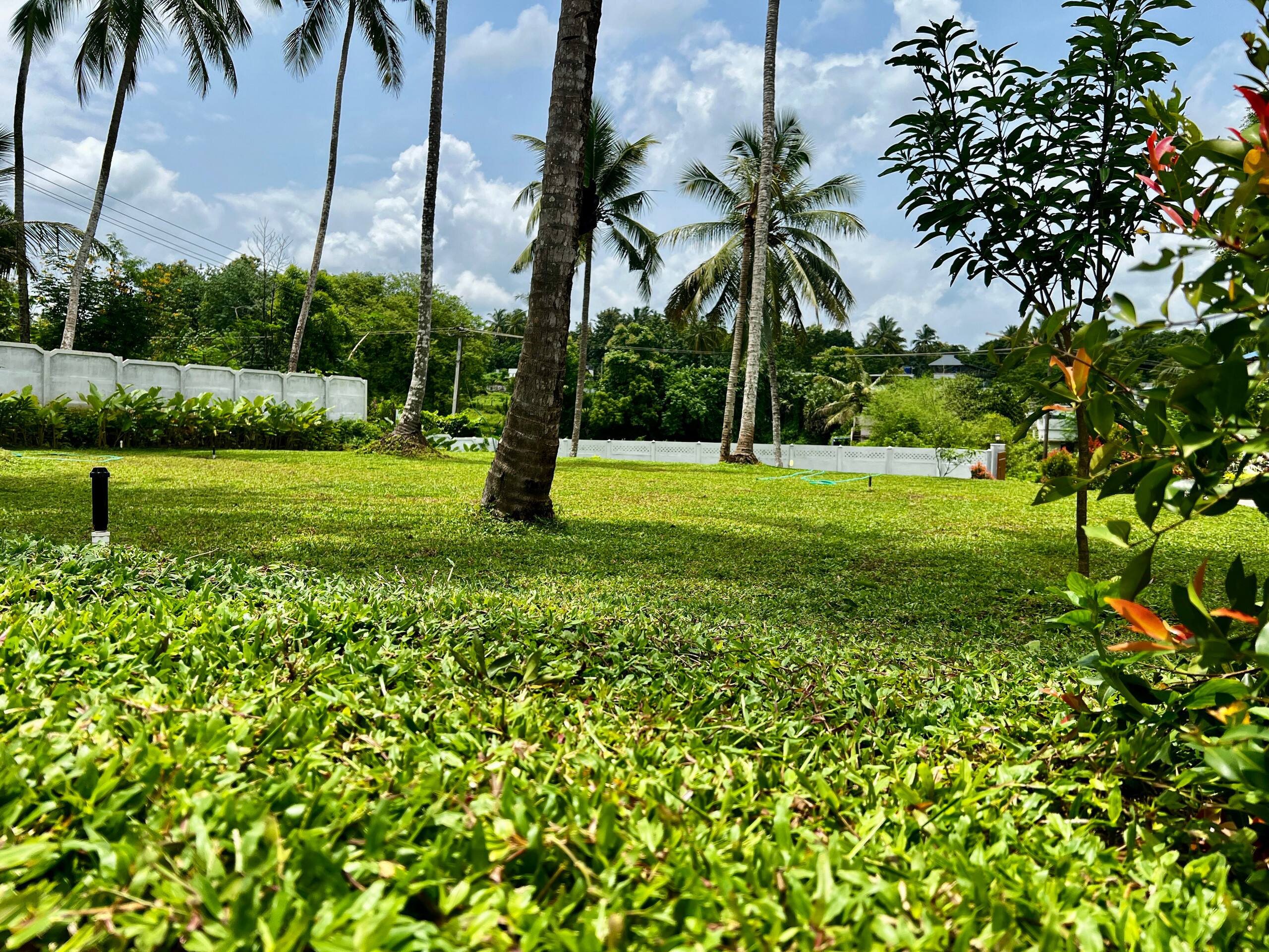 Haritham Heritage Villa 30