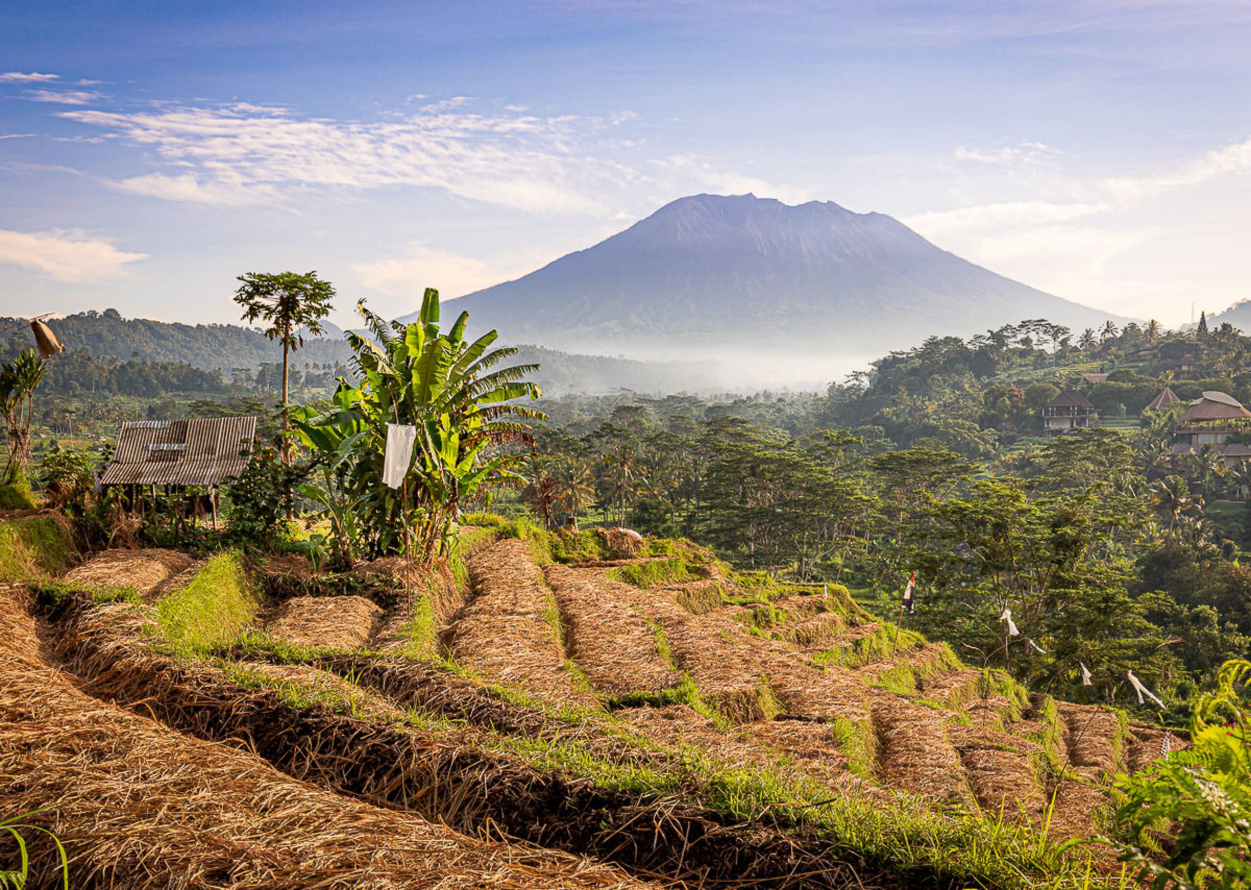 Romantic Barn with Mt. Agung Views 34