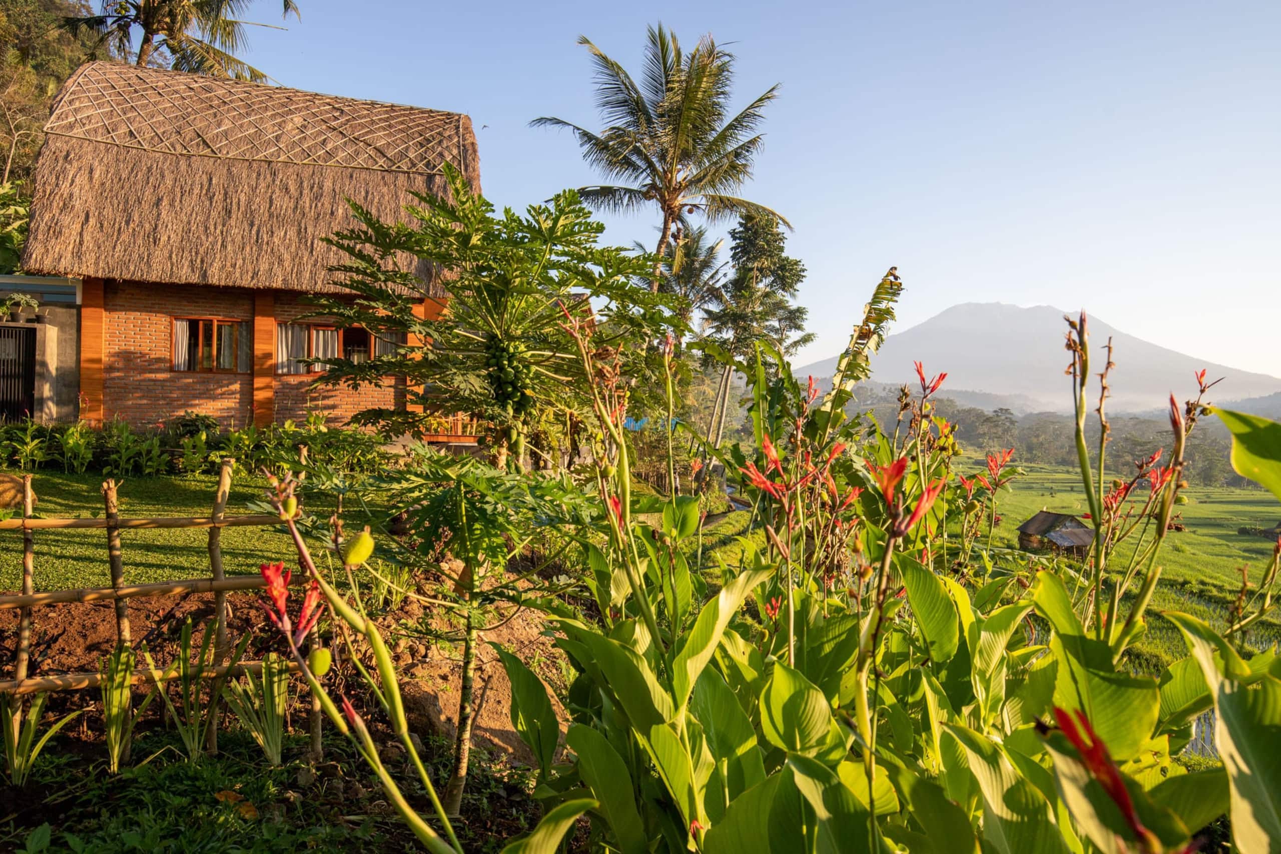 Romantic Barn with Mt. Agung Views 22