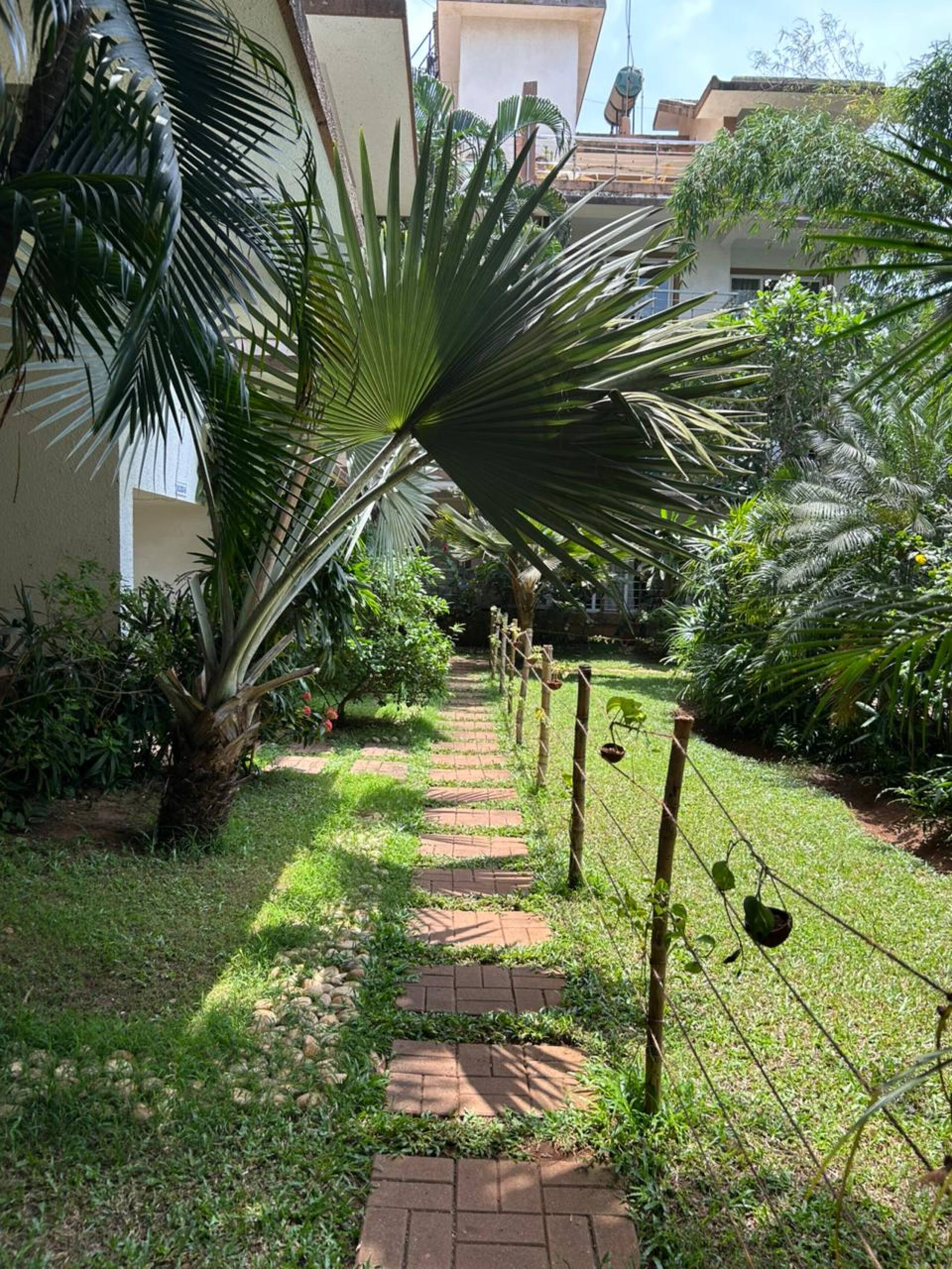 Ivy 1BHK C7 -Pool/5 mins from Tito's/Baga Beach 18