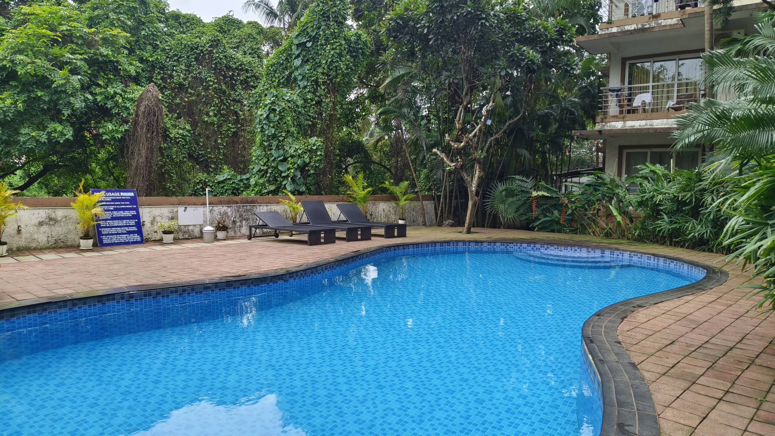 Ivy 1BHK C7 -Pool/5 mins from Tito's/Baga Beach 24