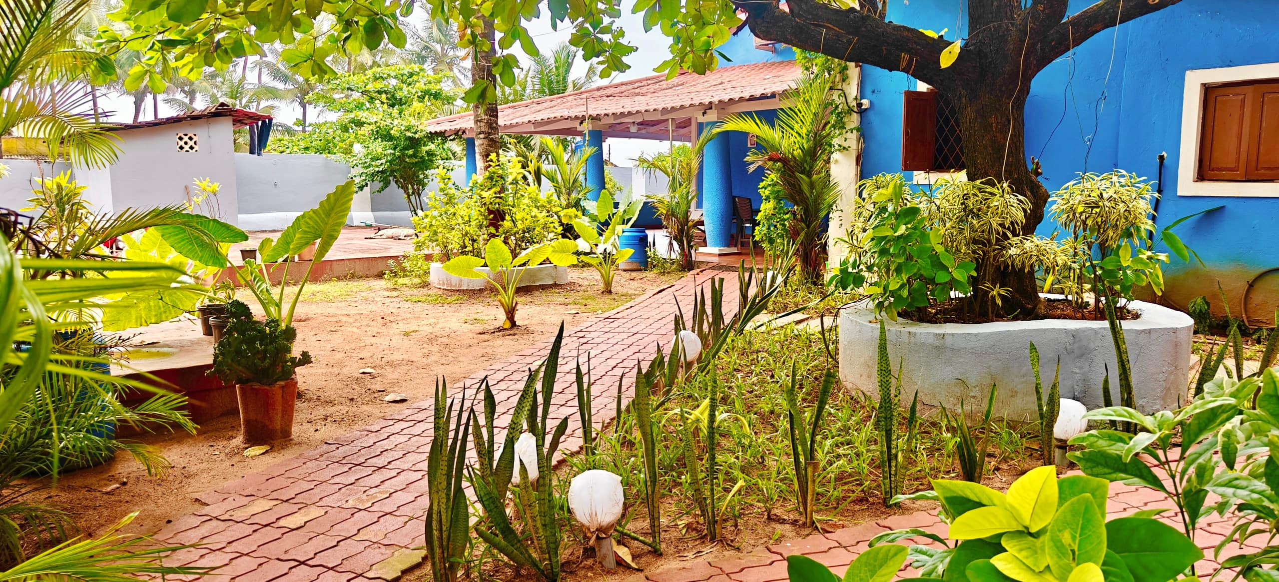 Cozy guesthouse by Anjuna Beach near Curlies Shack 14