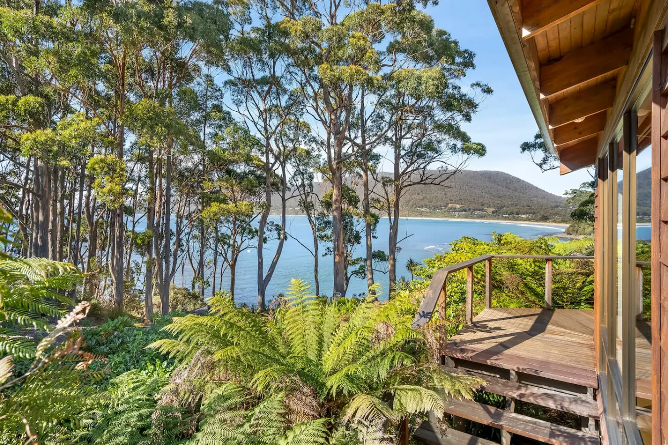 Osprey Lodge 17