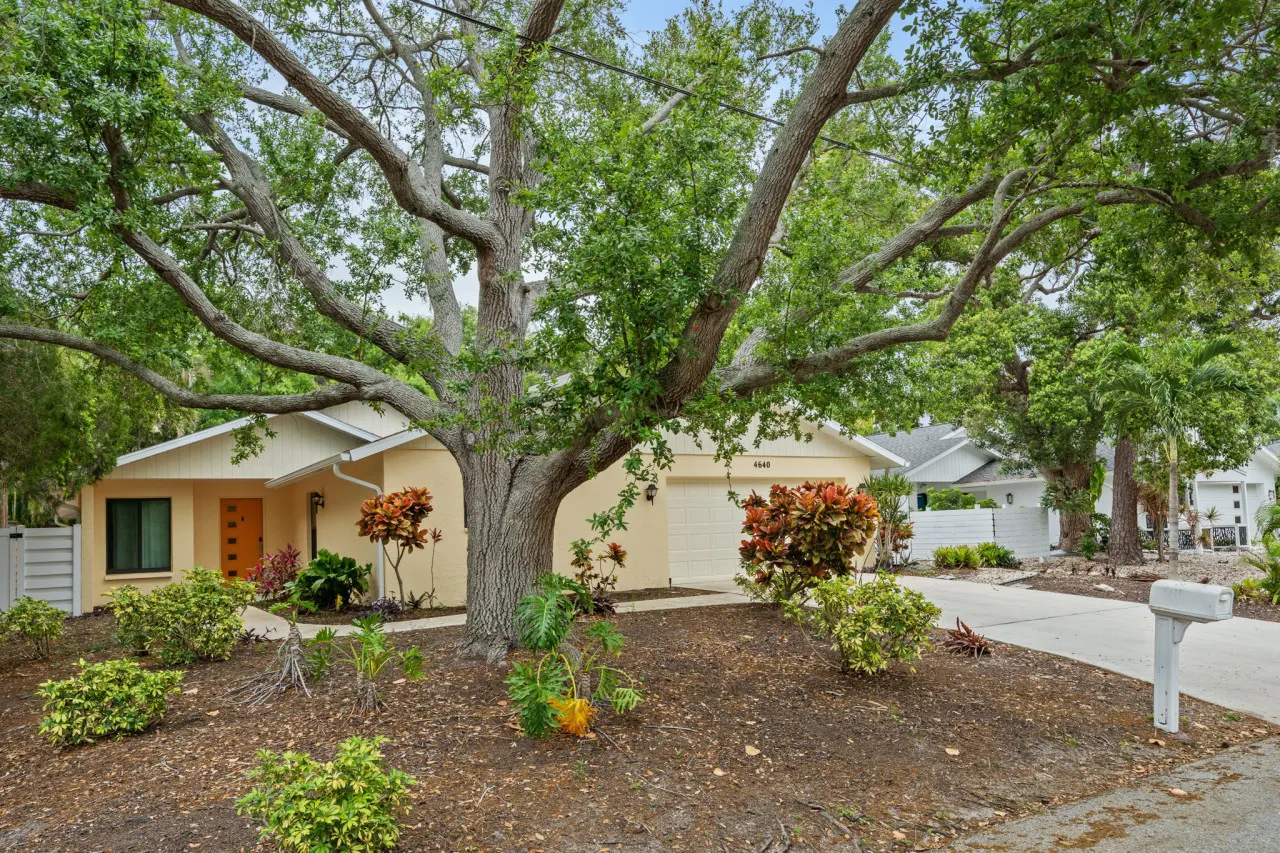Tropical Retreat near Sarasota Downtown — photo 5