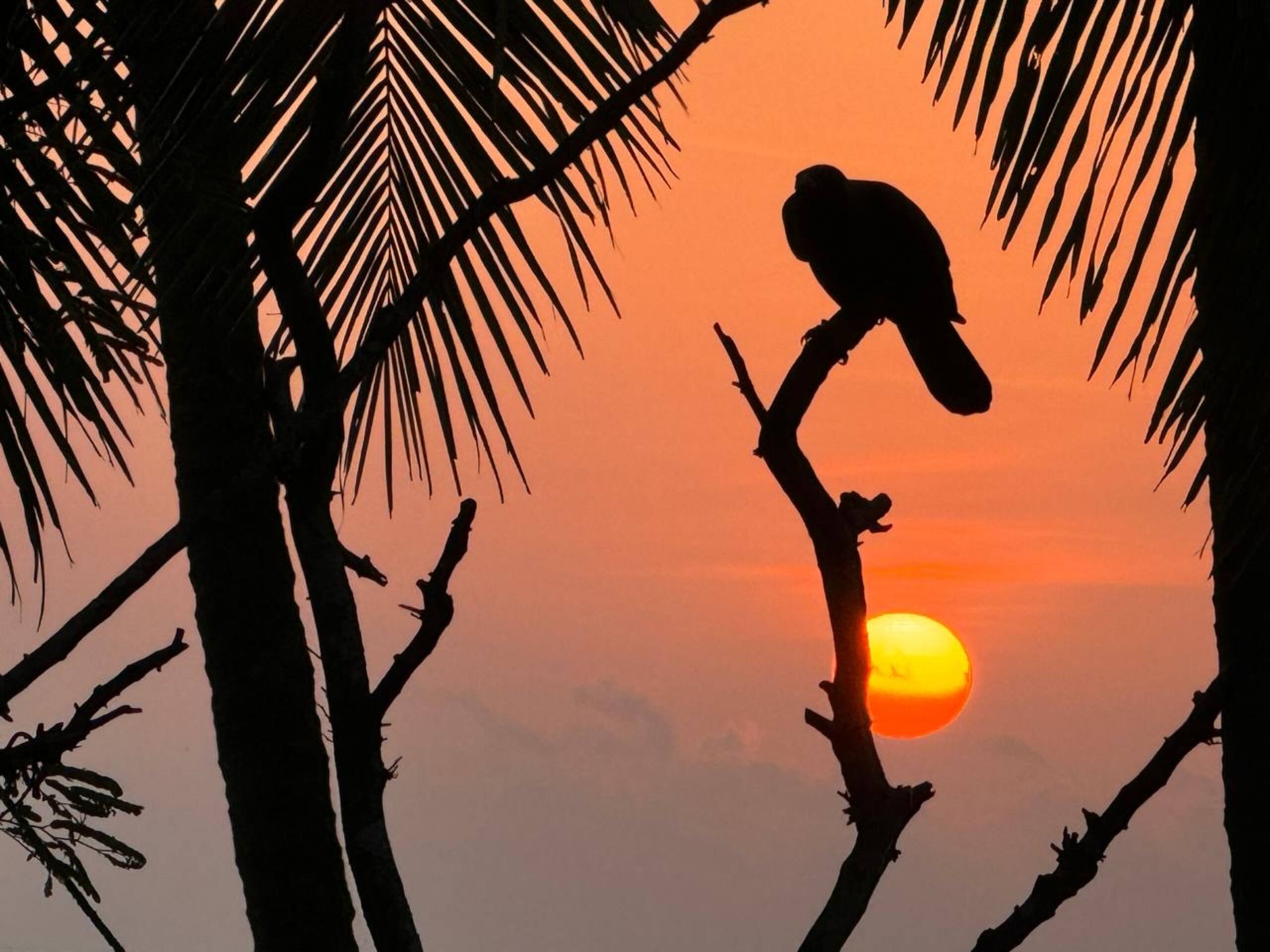 Beach Haven, Kappad Beach - Kozhikode 21
