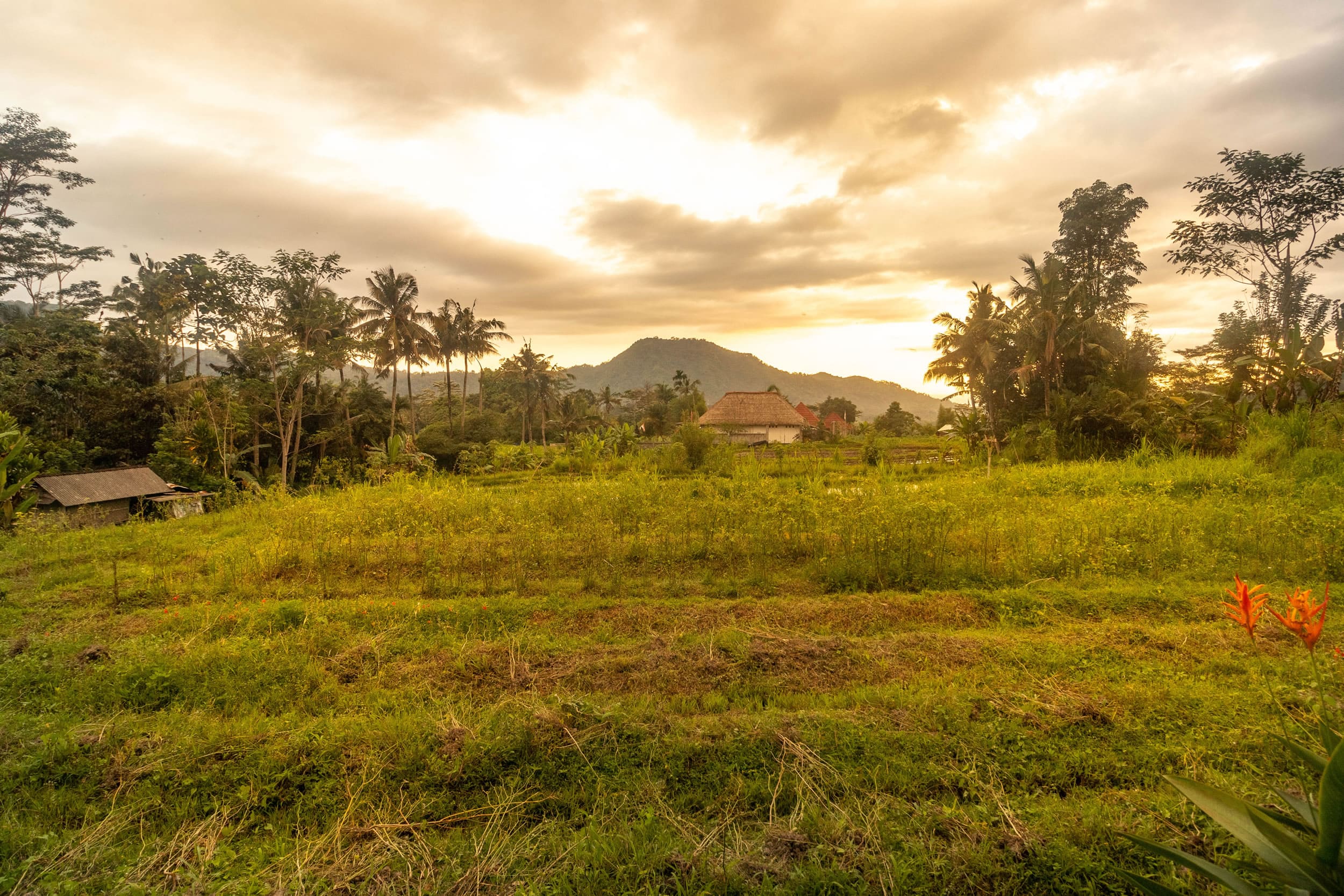 Pelangi Villas Sidemen 18
