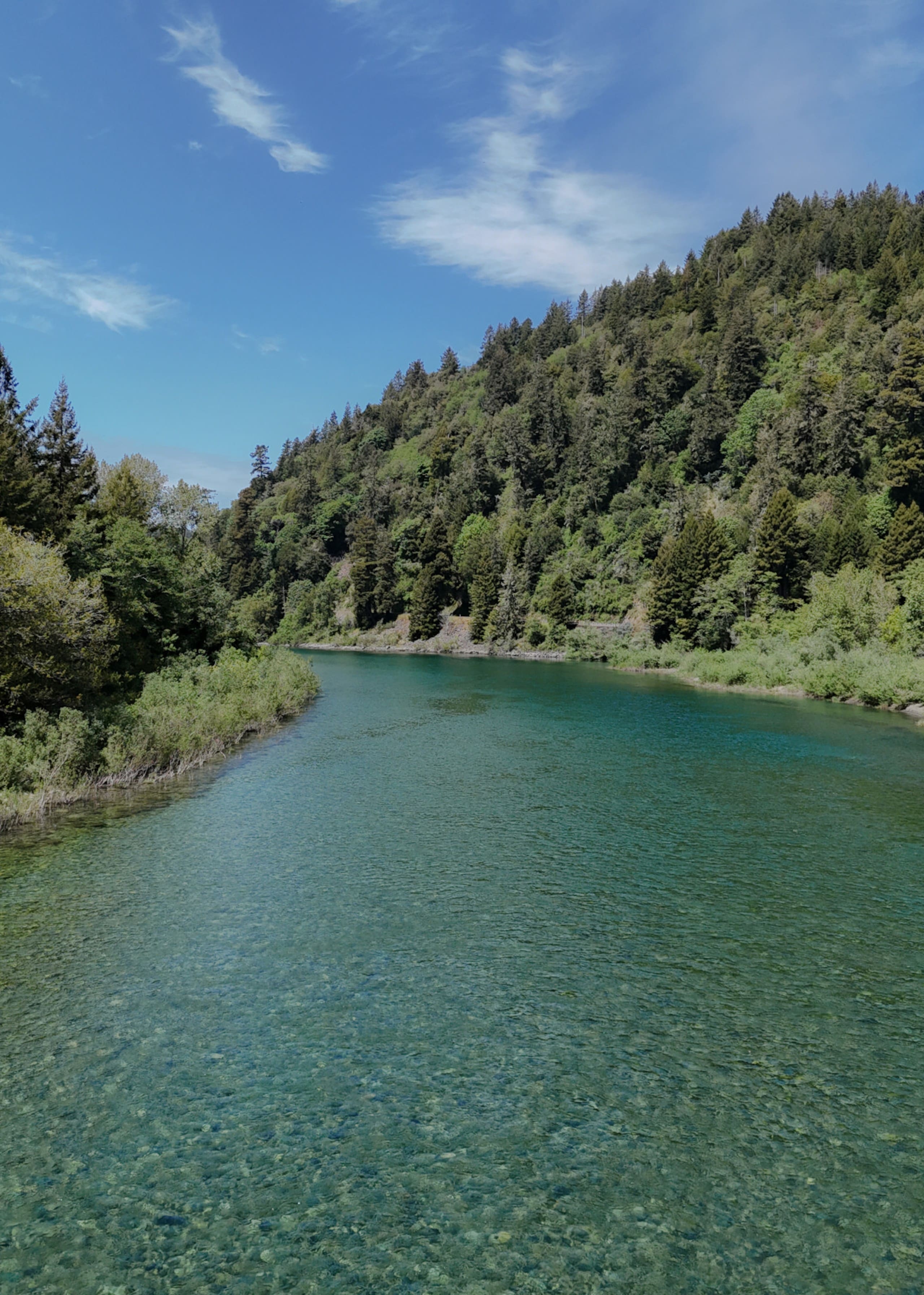 Emerald River Retreat- River-Front, Spa & Fire pit — photo 5