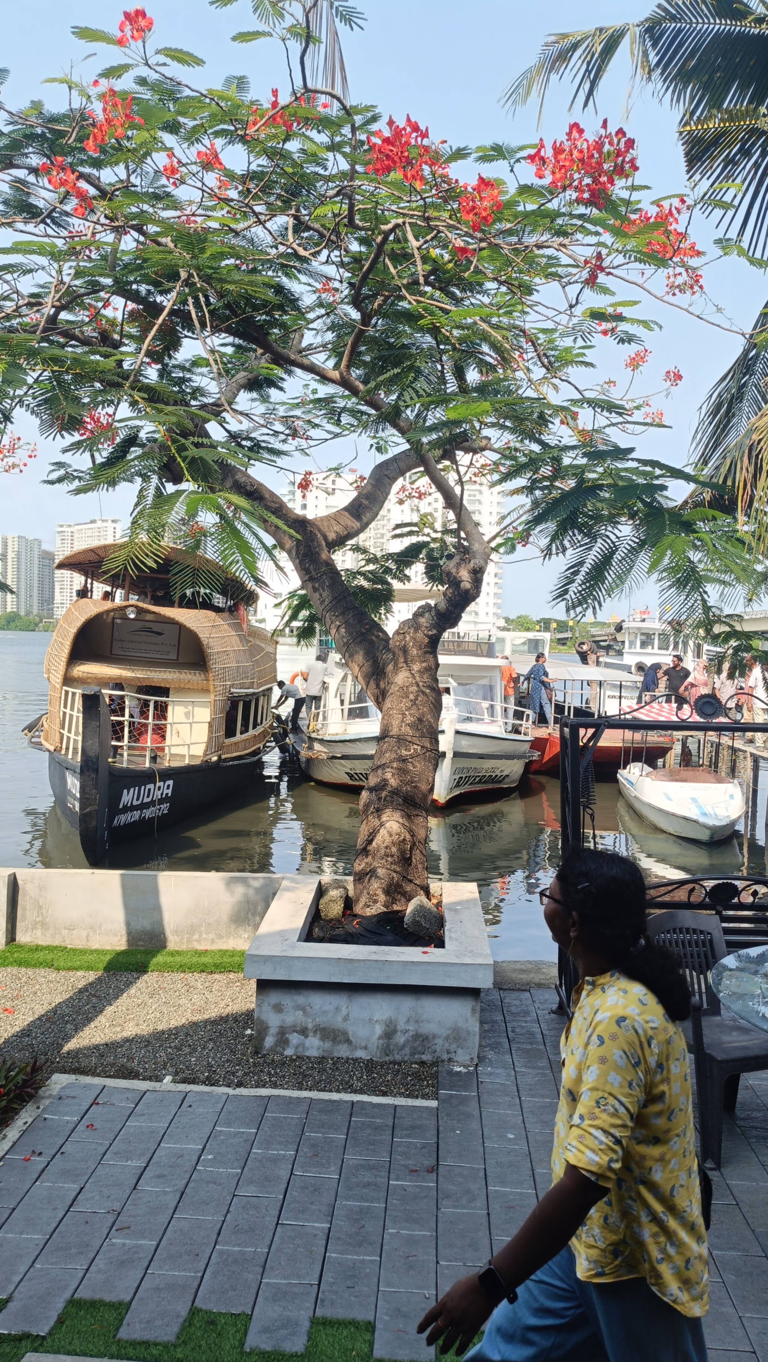 Marina Lounge Waterfront Villa in Kochi 38