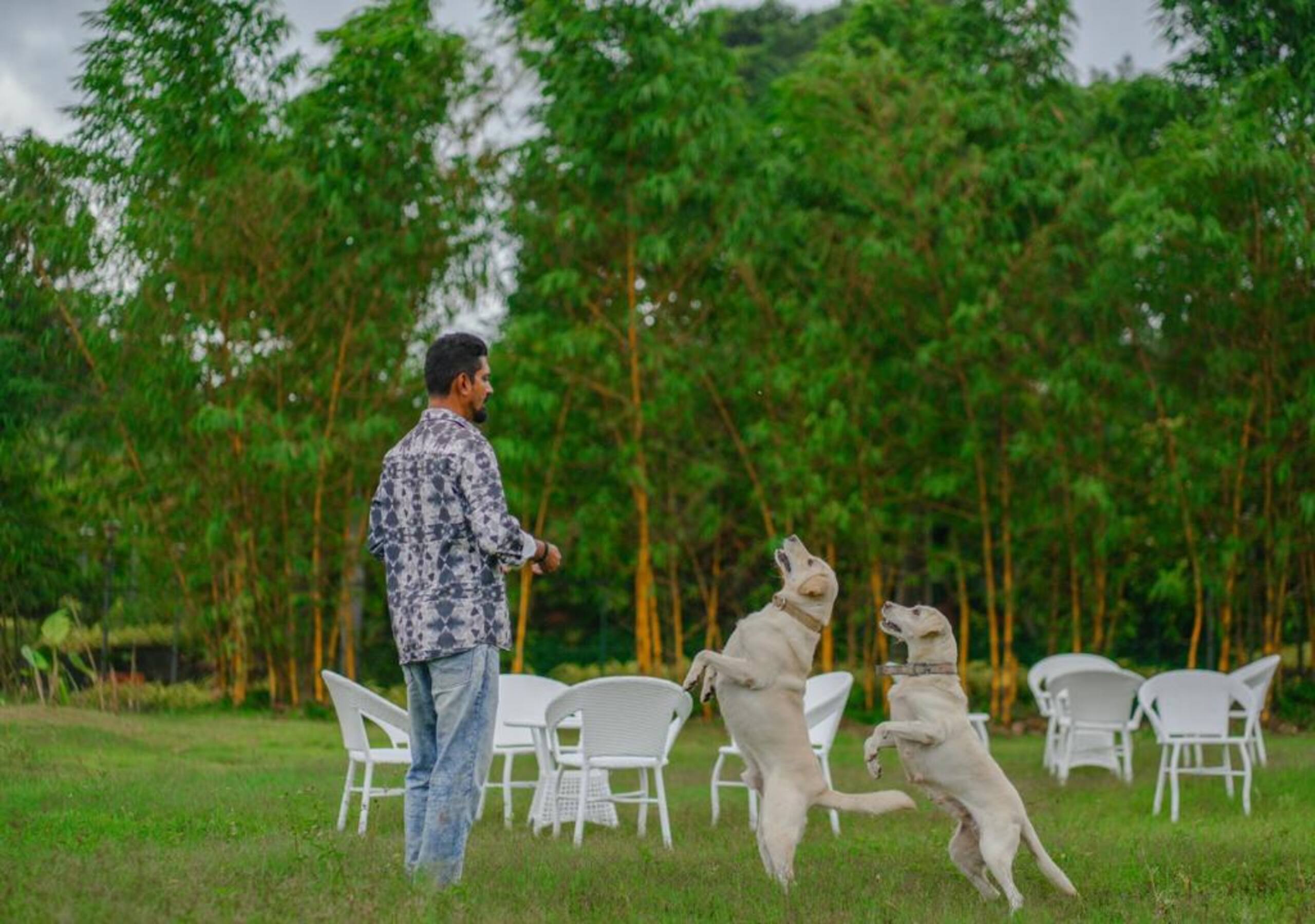 Pet Friendly Lake Villa in Ashtamudi, Kollam 6