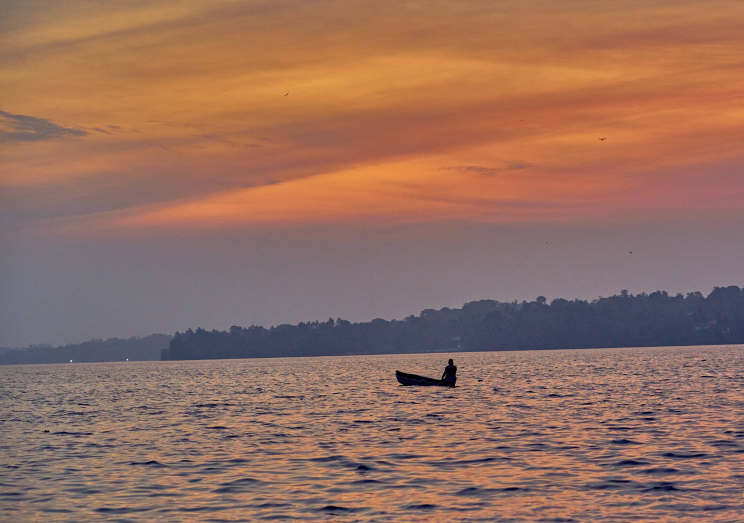 Pet Friendly Lake Villa in Ashtamudi, Kollam 38