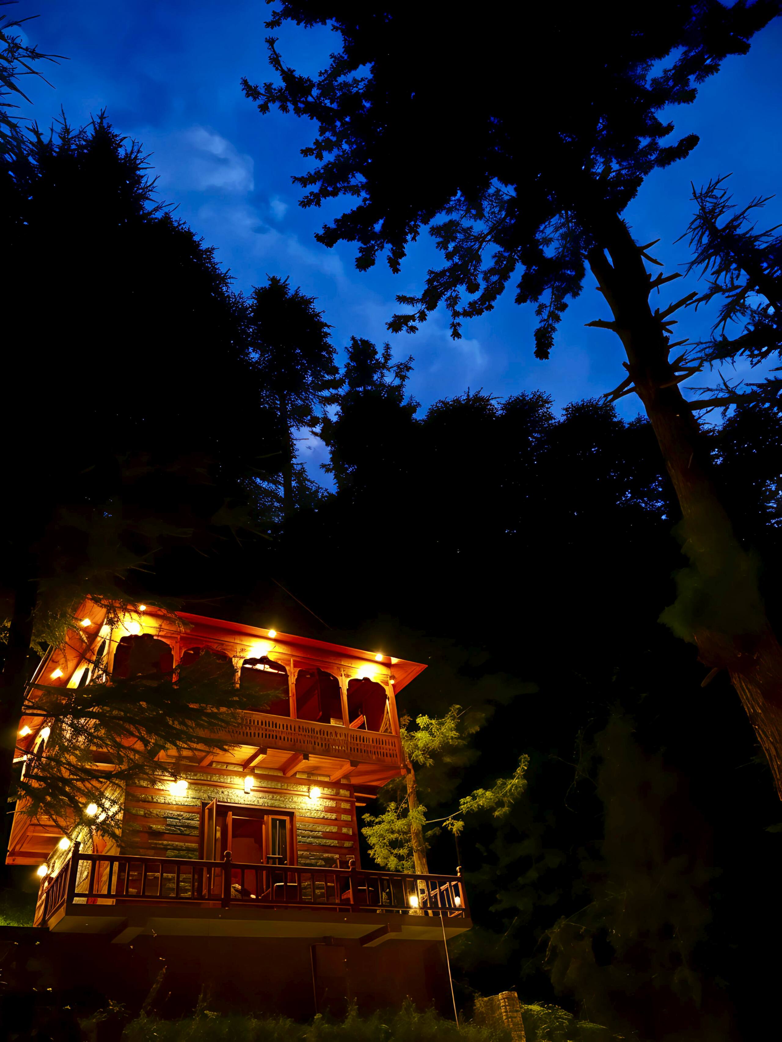Kath Kuni Duplex Stay @ Jana Trails Chalet, Manali 13