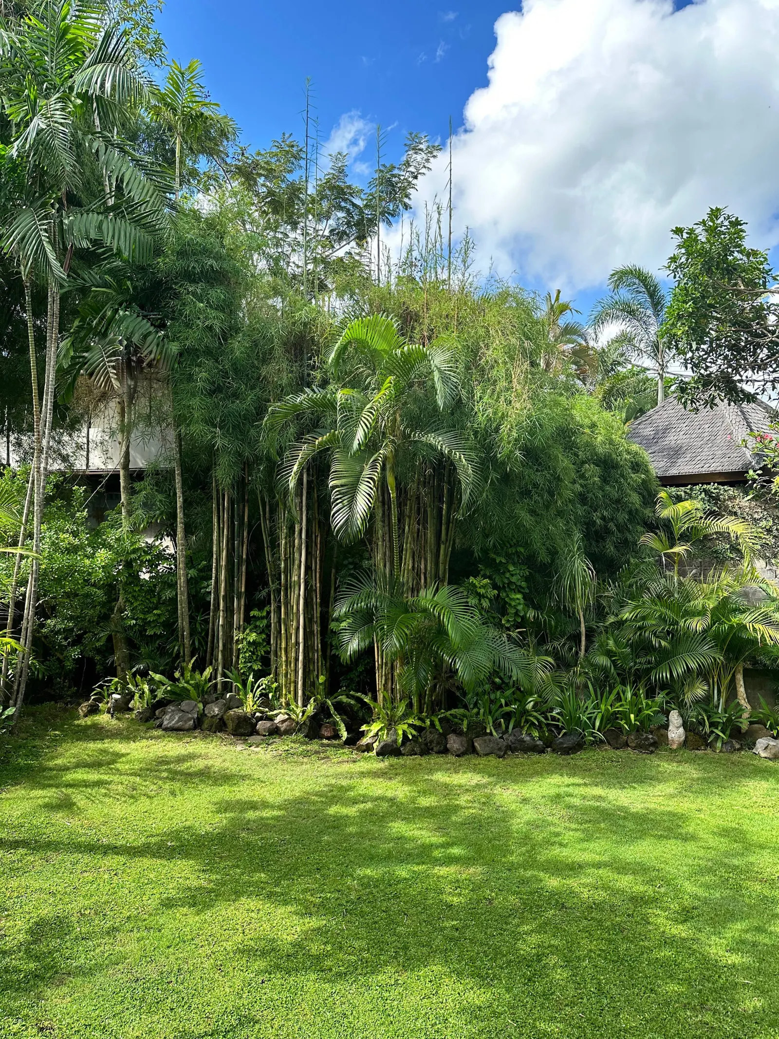 Central & spacious 2BR Family home w big terrace 17