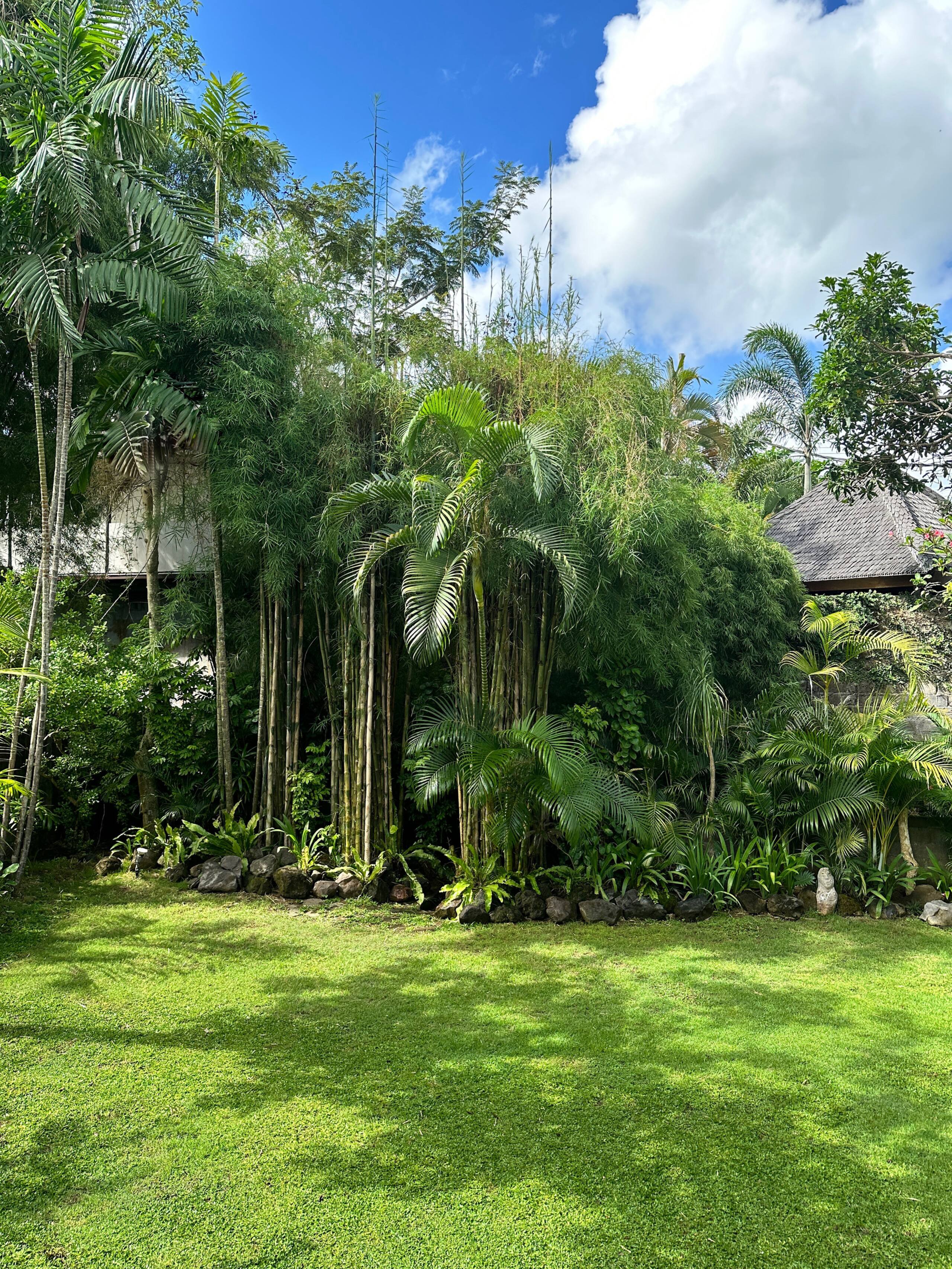 Central & spacious 2BR Family home w big terrace 17