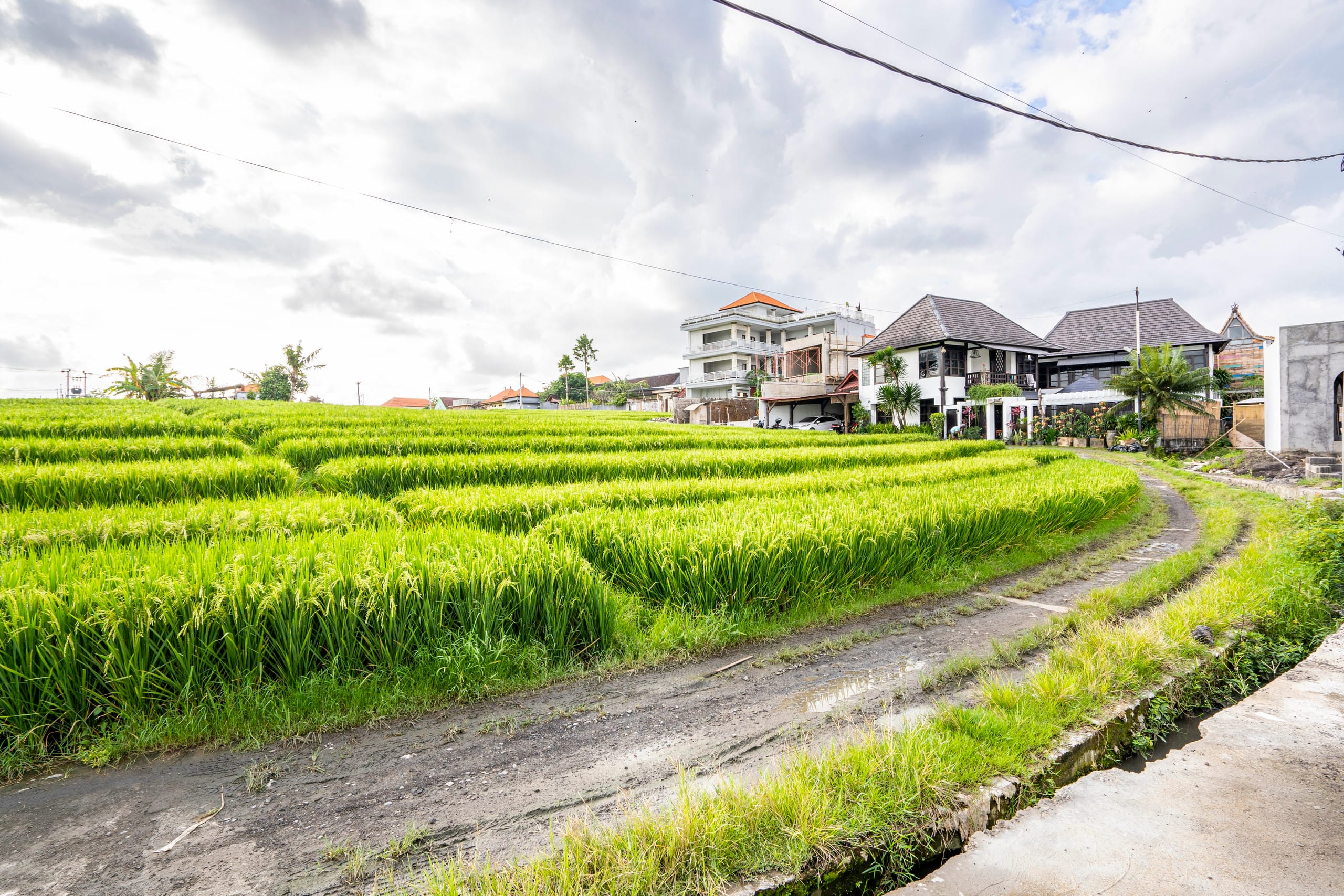 Chic Canggu Escape: Stylish 1BR Private Pool Villa 9