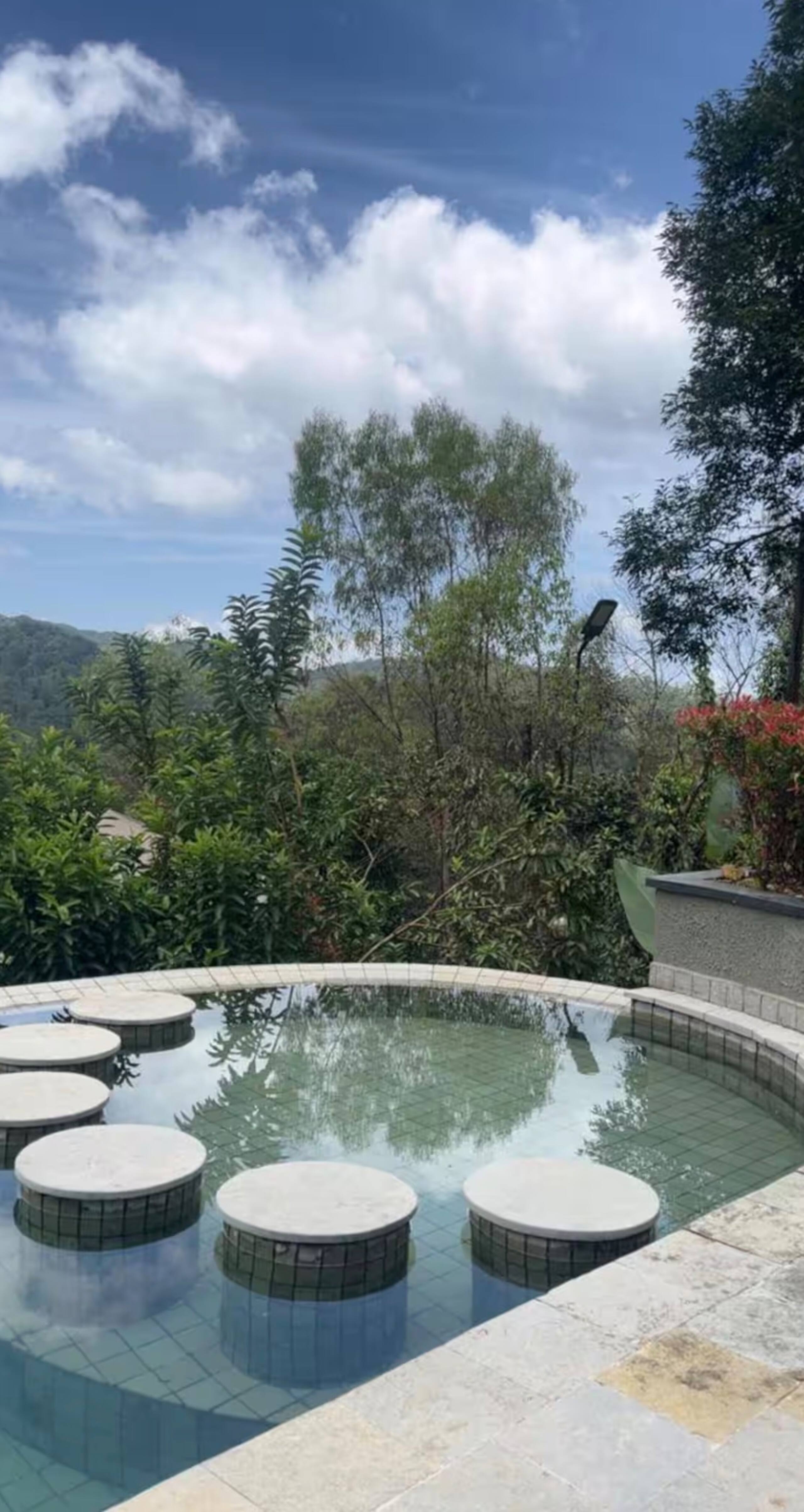 Wildwood Retreat | Infinity Pool | Vythiri 7
