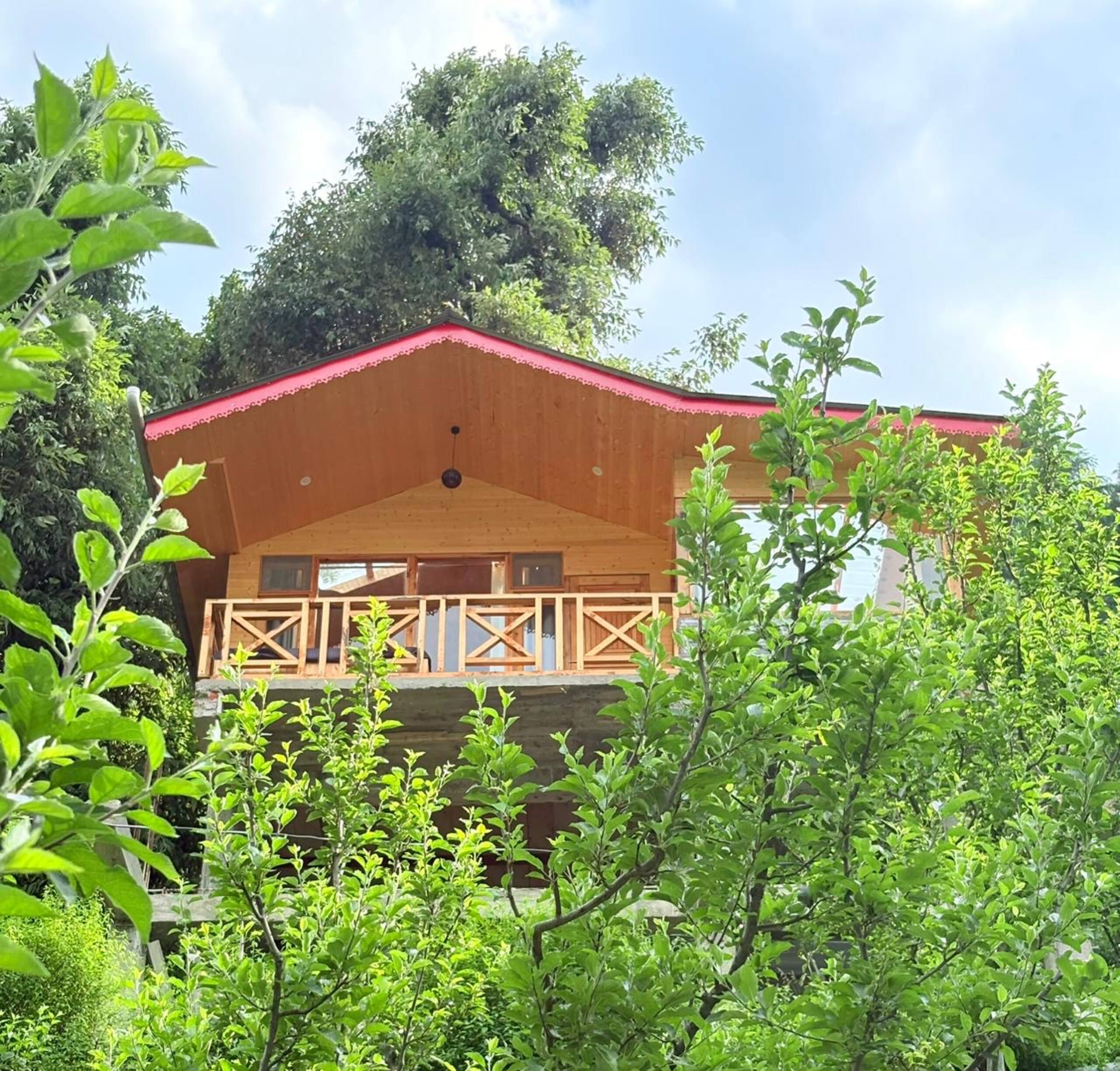whynothere_stays : Treehouse with private Jacuzzi 8