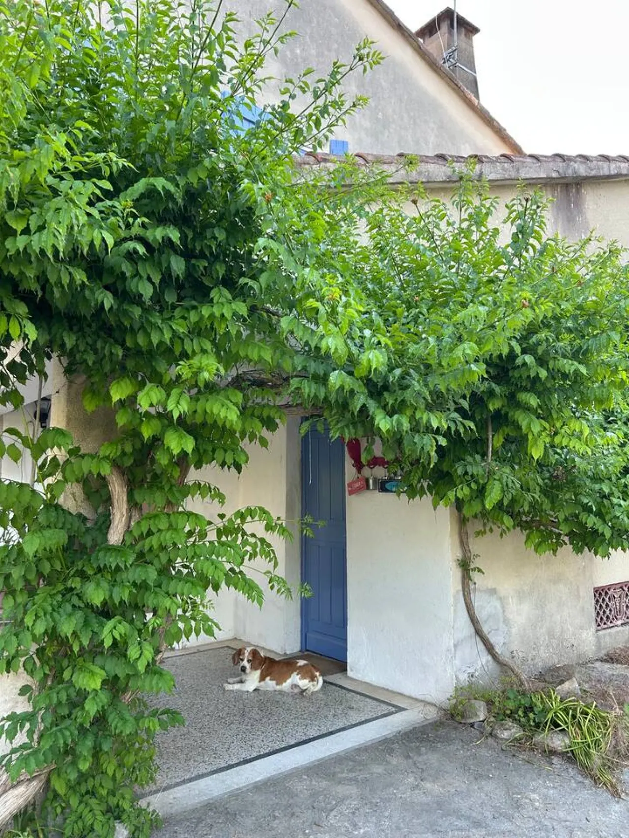 Maison familiale 6 P-Piscine, jardin et pétanque 14