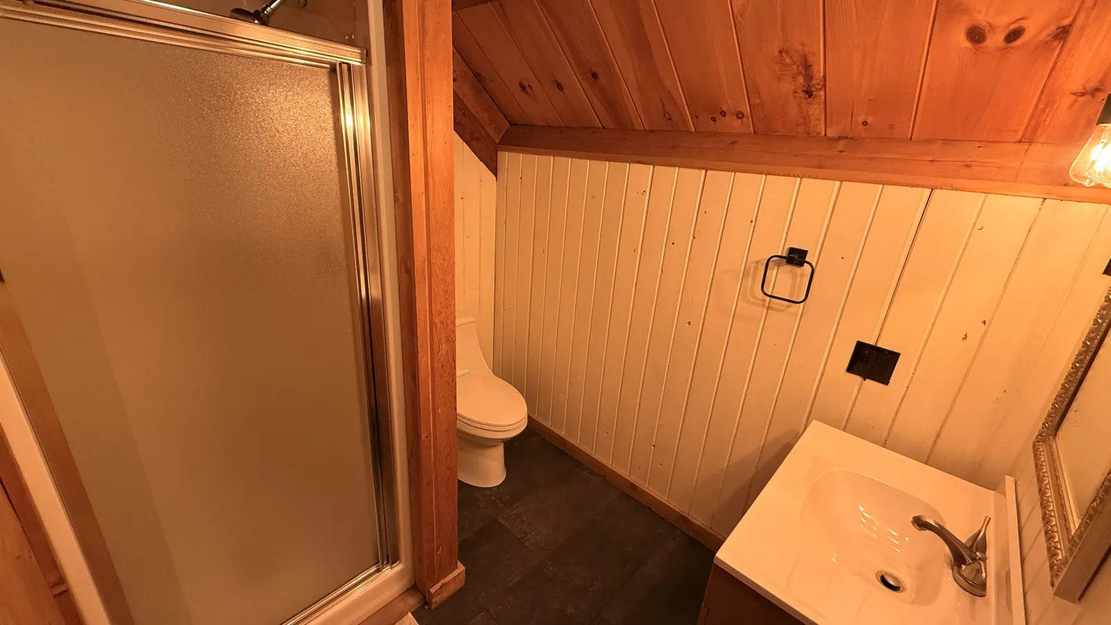 Black Bear Den 10