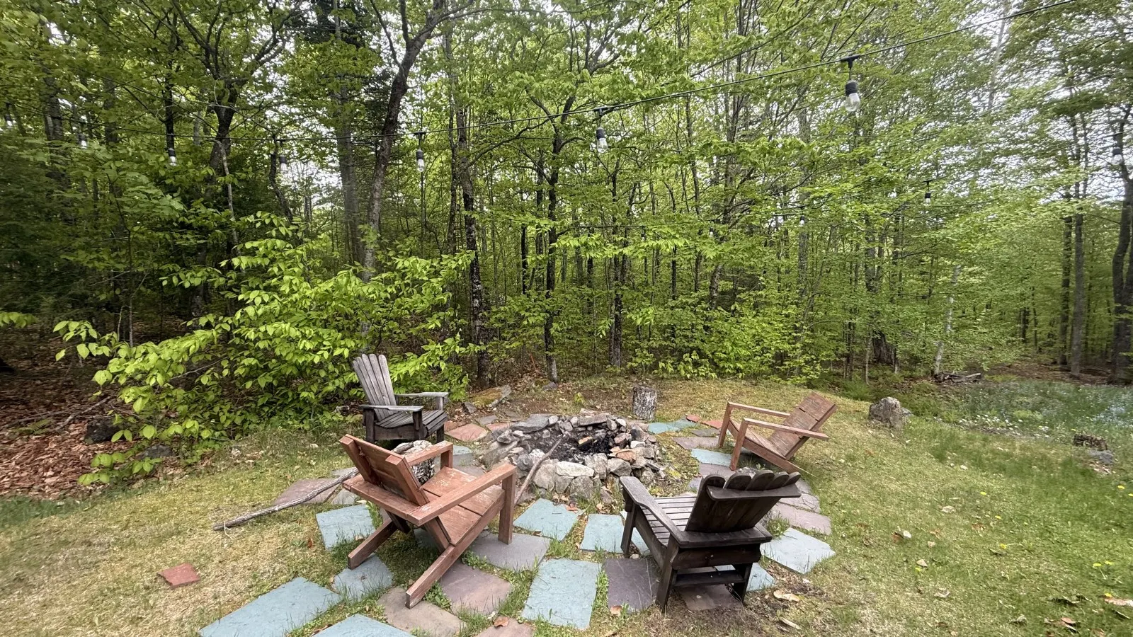 Black Bear Den 17