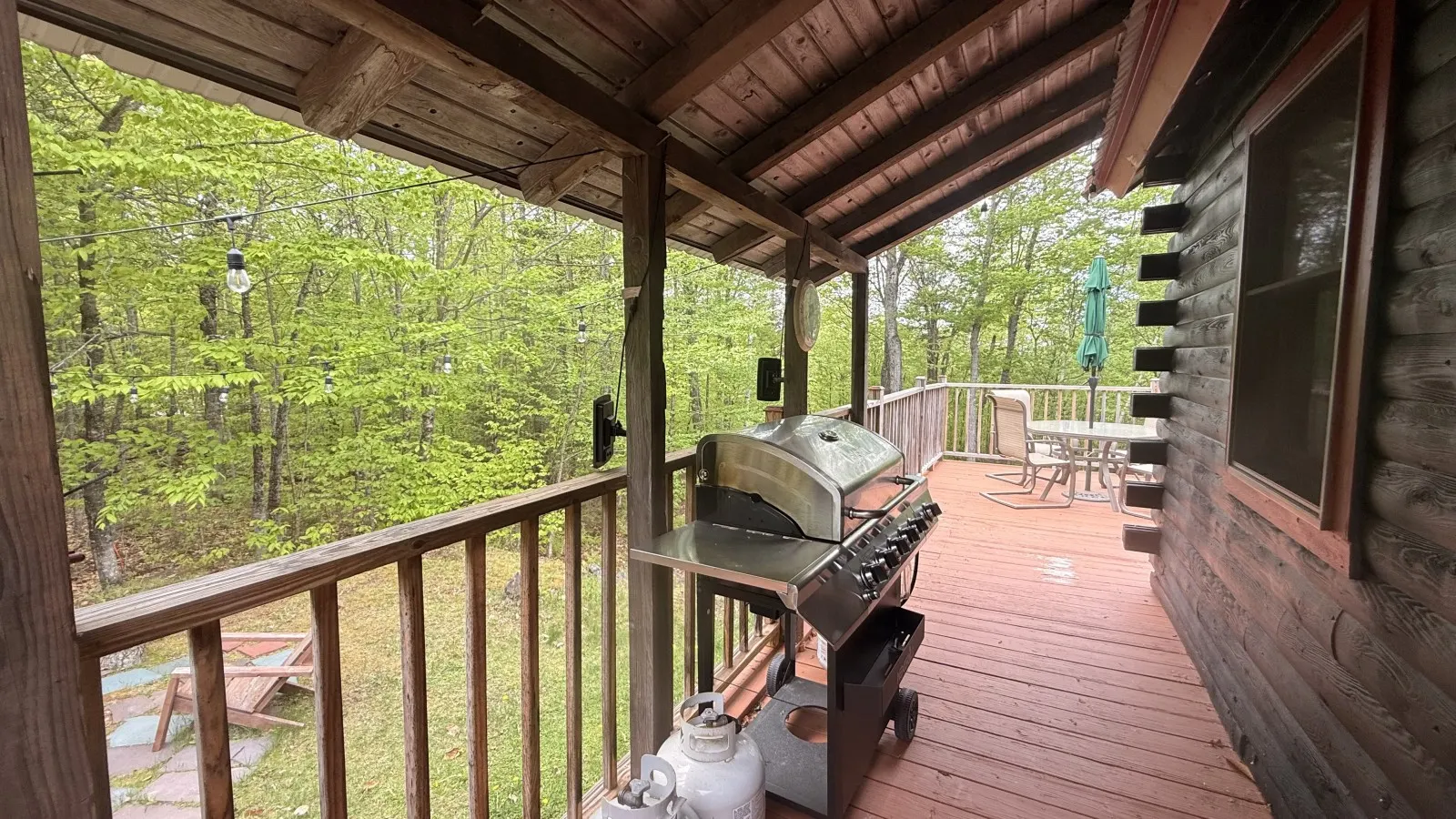 Black Bear Den 18