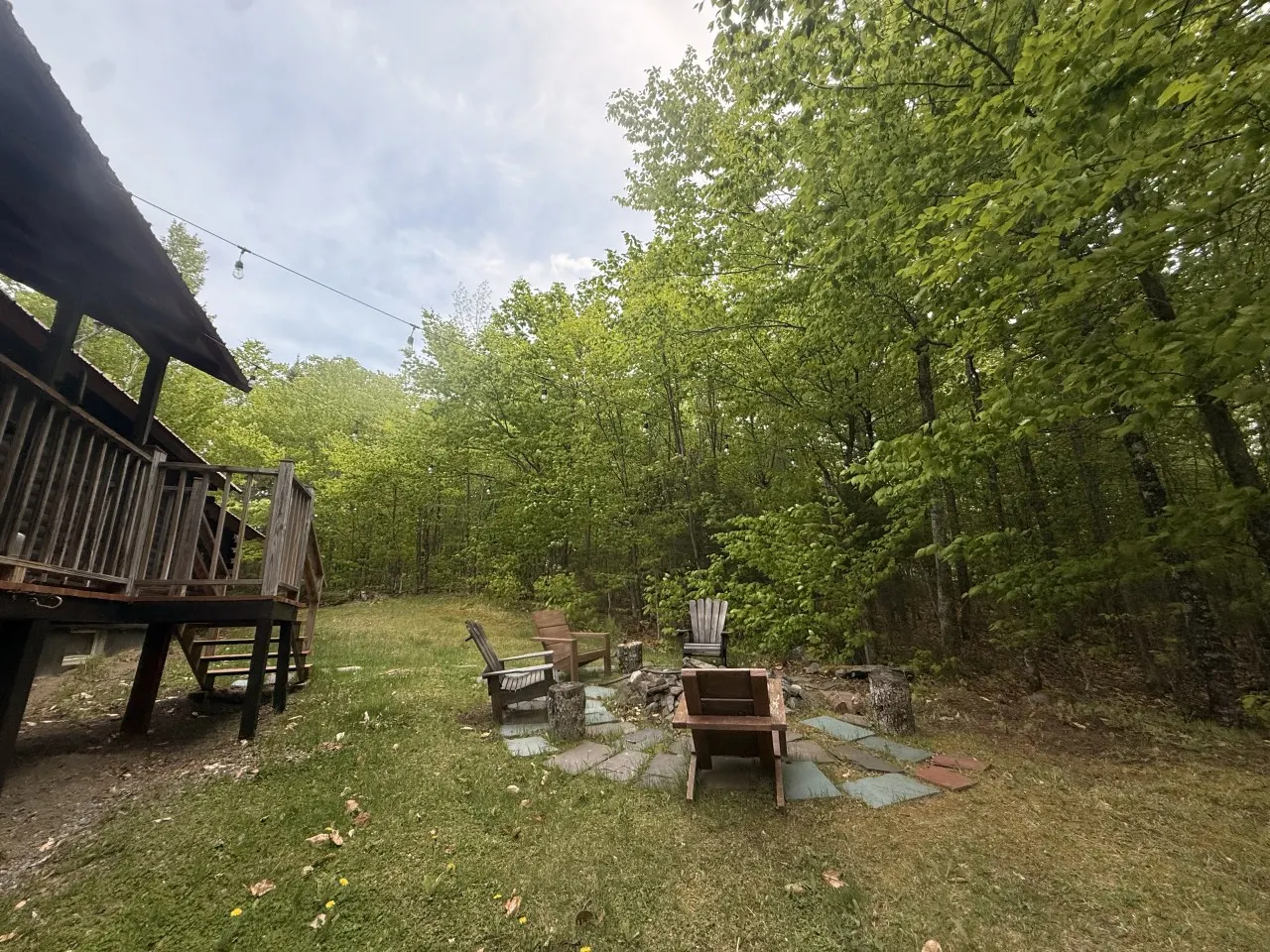 Black Bear Den 19