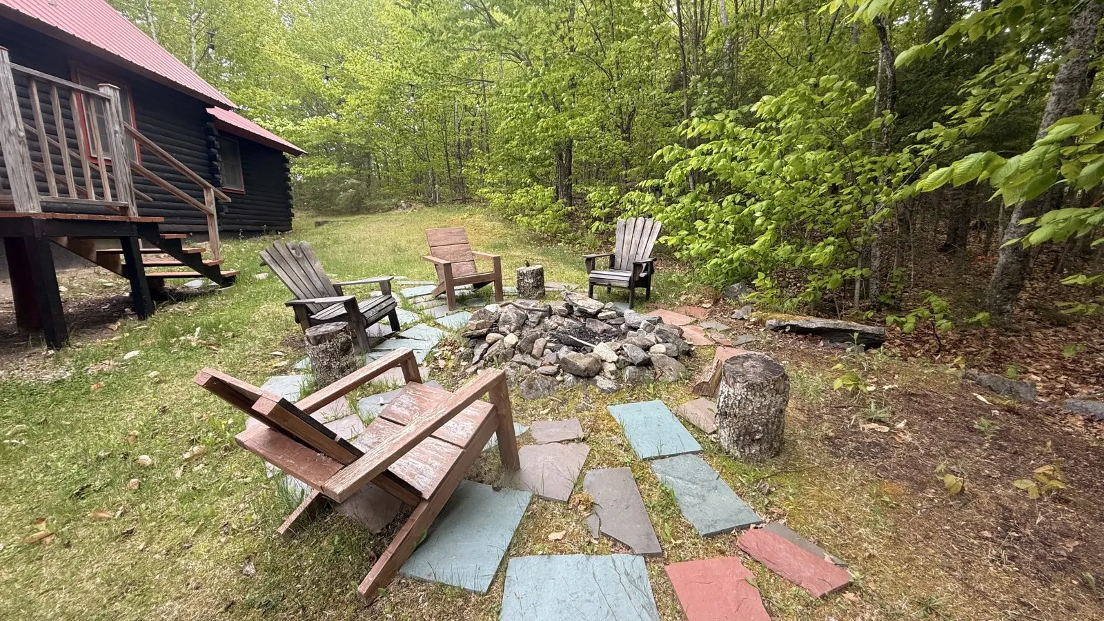 Black Bear Den 20